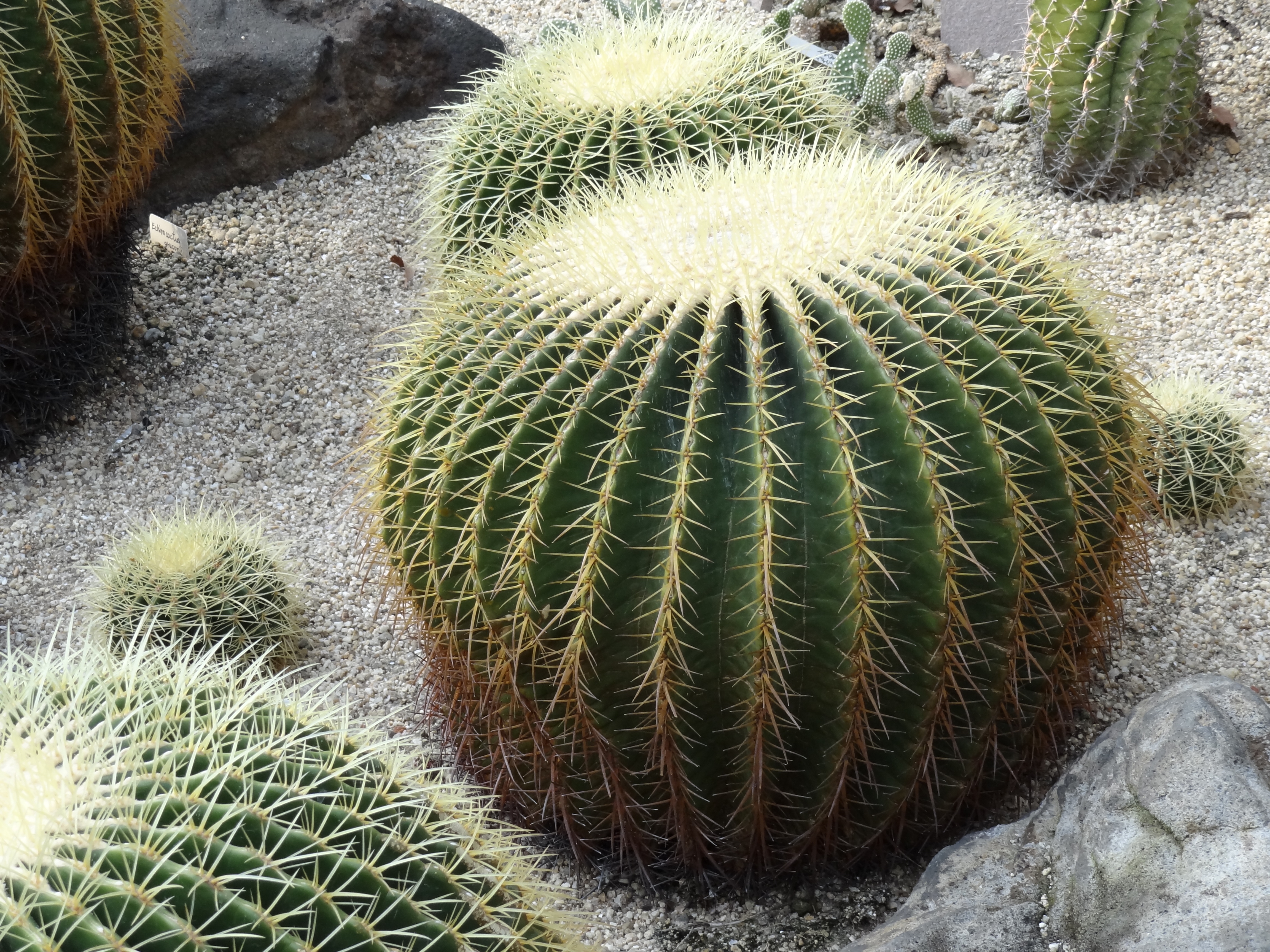 <b>DSC-HX7V / 約5.6MB / 4,608×3,456 / 1/80秒 / F5 / 0.0EV / ISO200 / WB:オート / 14.6mm</b>