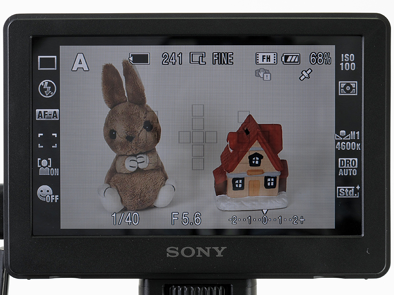 <b>α55のライブビューを表示したところ</b>