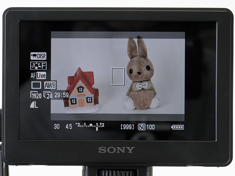 <b>ライブビューを表示したところ</b>