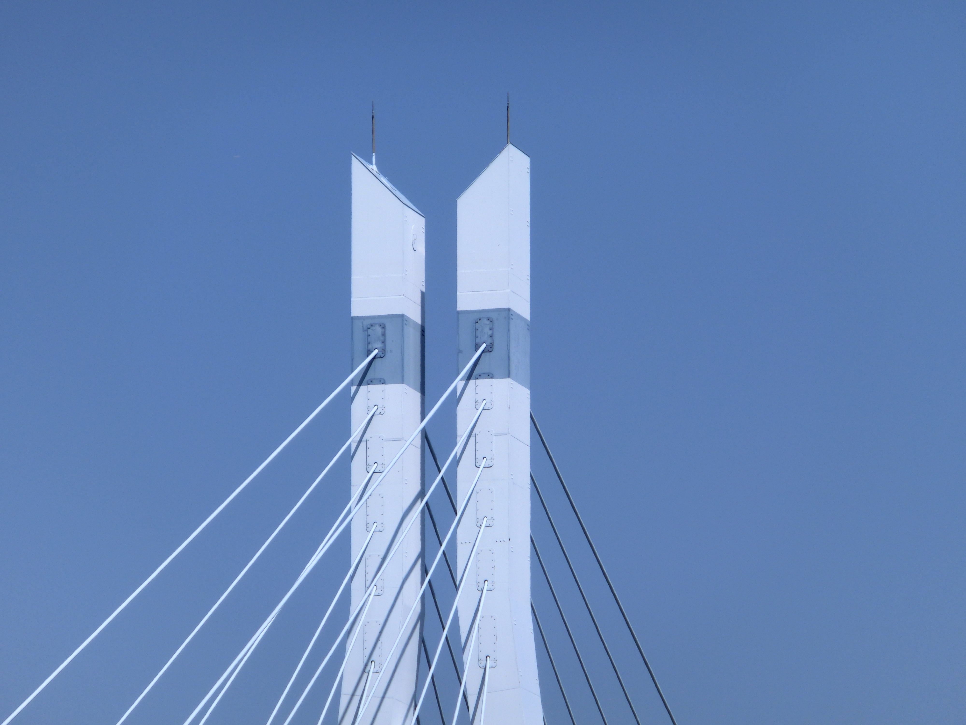 <b>光学ズームの望遠端（300mm相当） / EX-ZR100 / 4,000×3,000 / 1/1,000秒 / F5.9 / 0.3EV / ISO100 / WB:オート / 53mm</b>