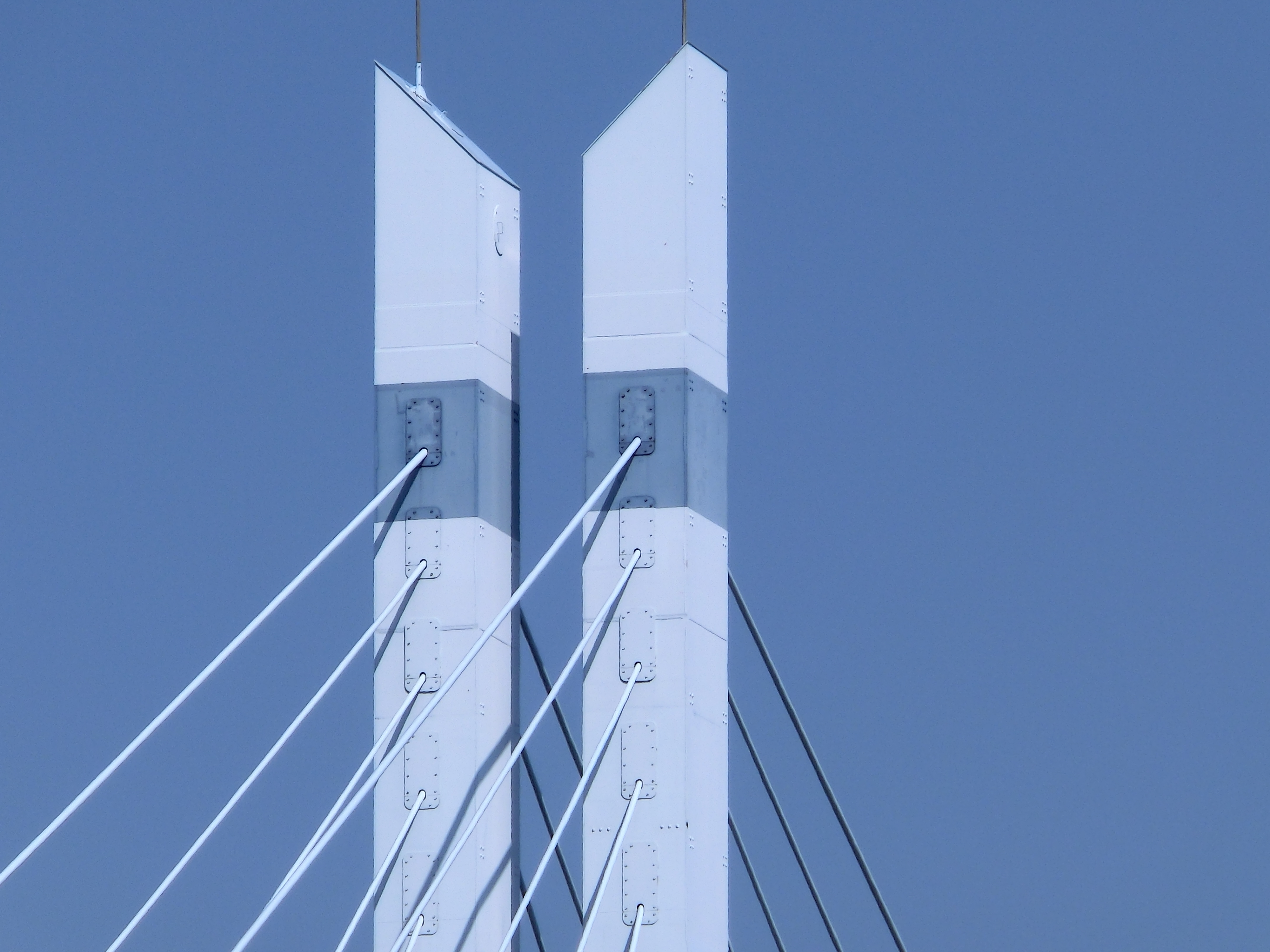 <b>シングル超解像使用（450mm相当） / EX-ZR100 / 4,000×3,000 / 1/1,000秒 / F5.9 / 0.3EV / ISO100 / WB:オート / 53mm</b>