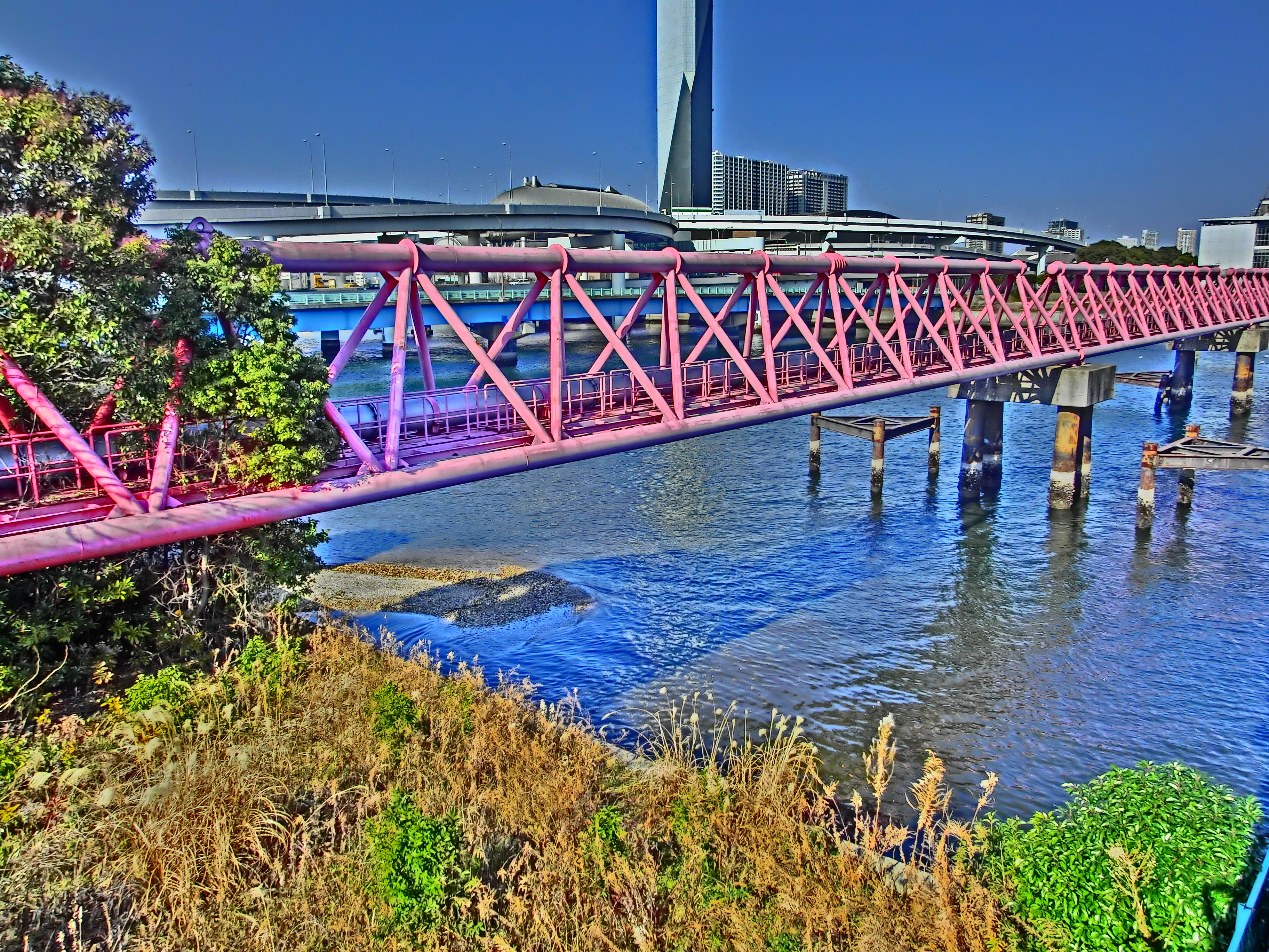 <b>青海橋の隣にある水道橋（たぶん）。「HDRアート」で撮るとぴかぴかのピンク色。奥に見えるのは有明の清掃工場の煙突。EX-ZR100 / 3,648×2,736 / 1/1,000秒 / F3 / 0.3EV / ISO100 / WB:オート / 4.24mm（24mm相当）</b>