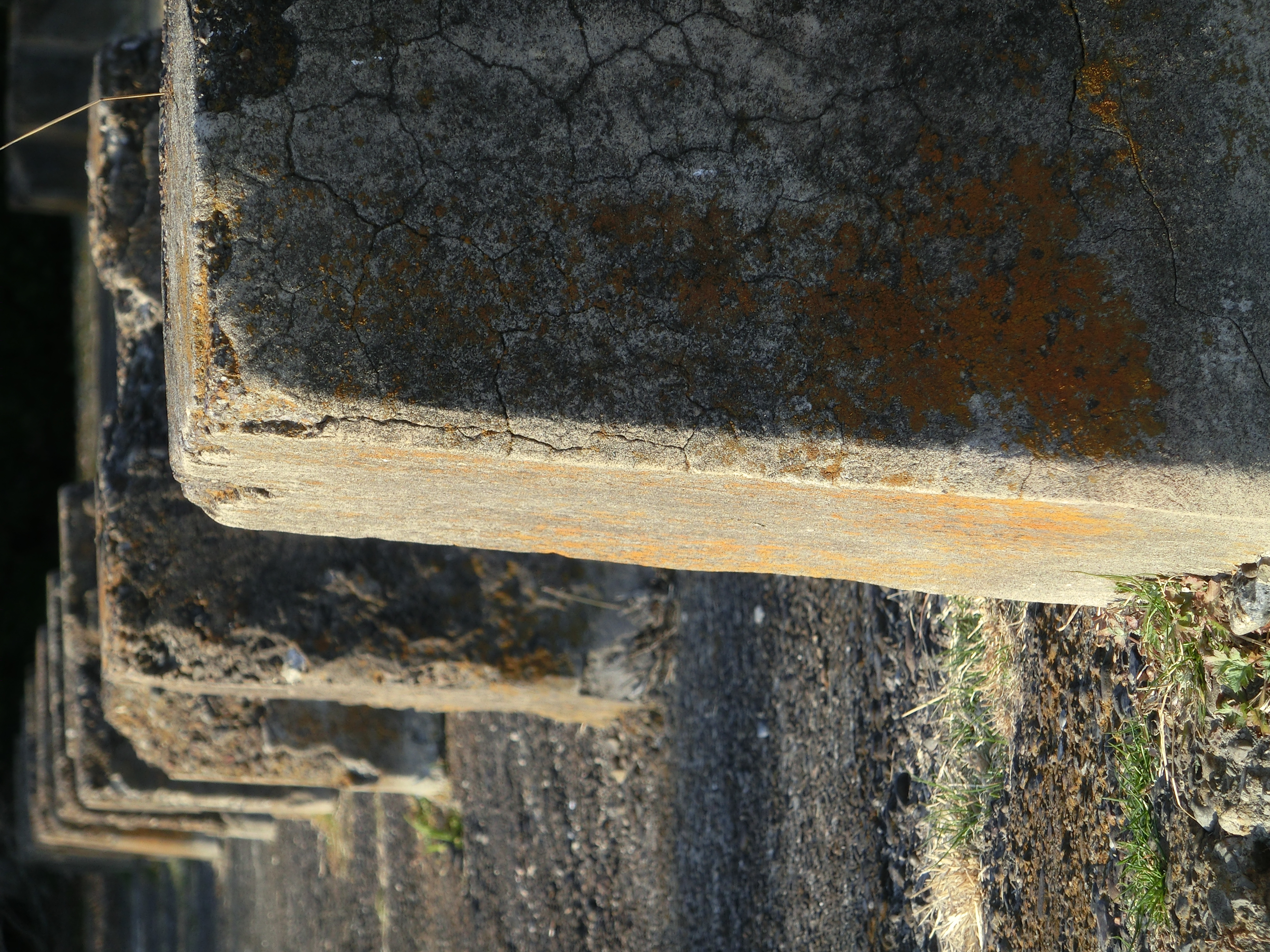 <b>台場公園に残る陣屋跡。なにげにコンクリートだが、一応は江戸末期の史跡である。EX-ZR100 / 4,000×3,000 / 1/200秒 / F5.7 / -0.7EV / ISO100 / WB:オート / 42.54mm（240mm相当）</b>