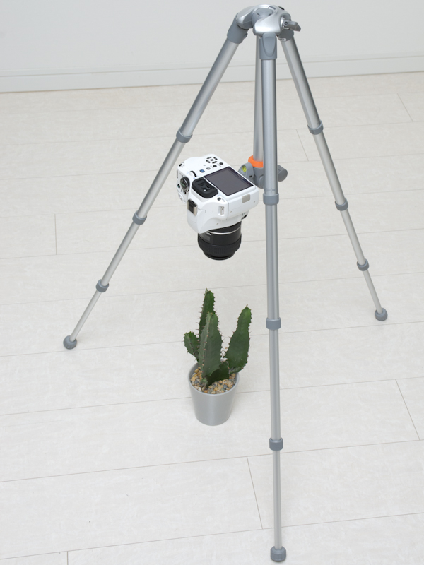 <b>センターコラムを反転させることで、少ない手間でローアングル撮影に移行できる</b>