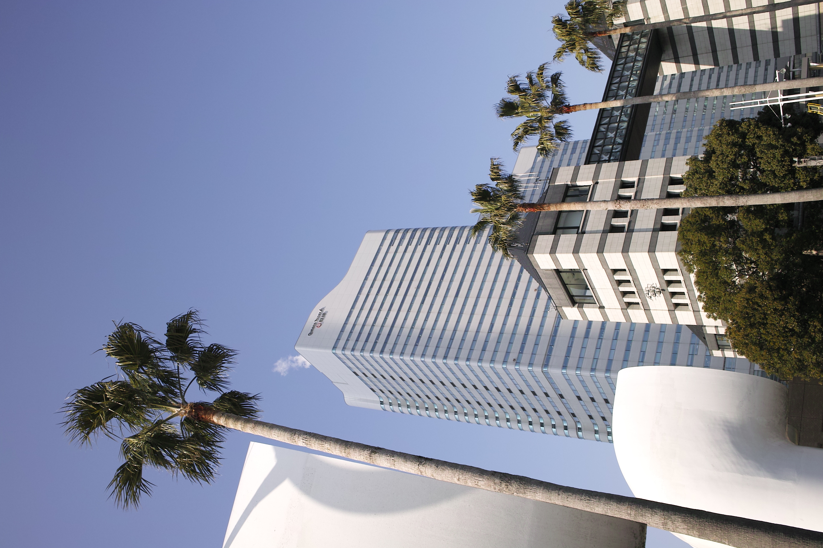 <b>JPEGとストレート現像では解像感はほとんど変らないが、色はストレート現像のほうが自然だ。JPEGではややマゼンタよりに見える。オートは全体的に明るさが増す。共通設定：DP1x / 2,640×1,760 / 1/200秒 / F8 / 0EV / ISO100 / 絞り優先AE / WB:晴れ / 16.6mm</b>