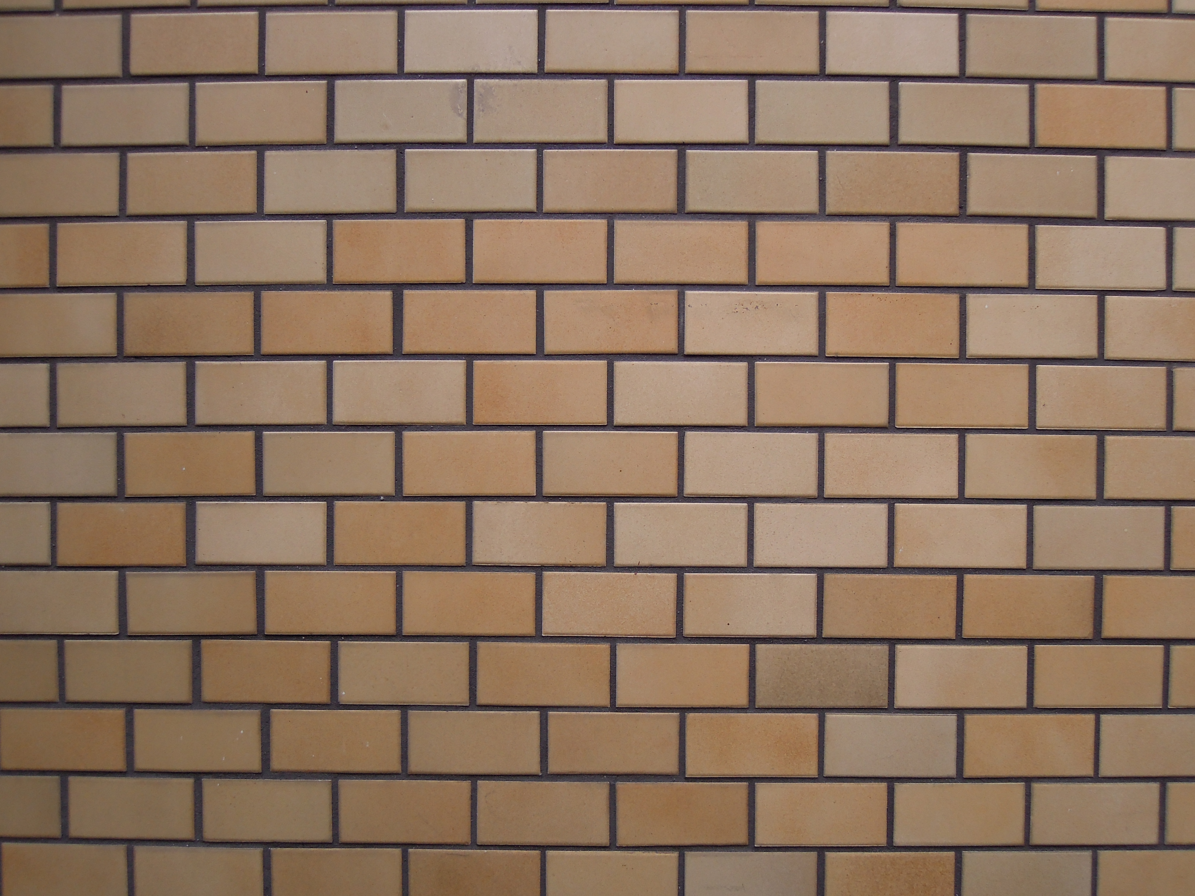 <b>広角端 / F2 / COOLPIX P300 / 約3.9MB / 4,000×3,000 / 1/160秒 / 0EV / ISO160 / WB:曇天 / 4.3mm</b>