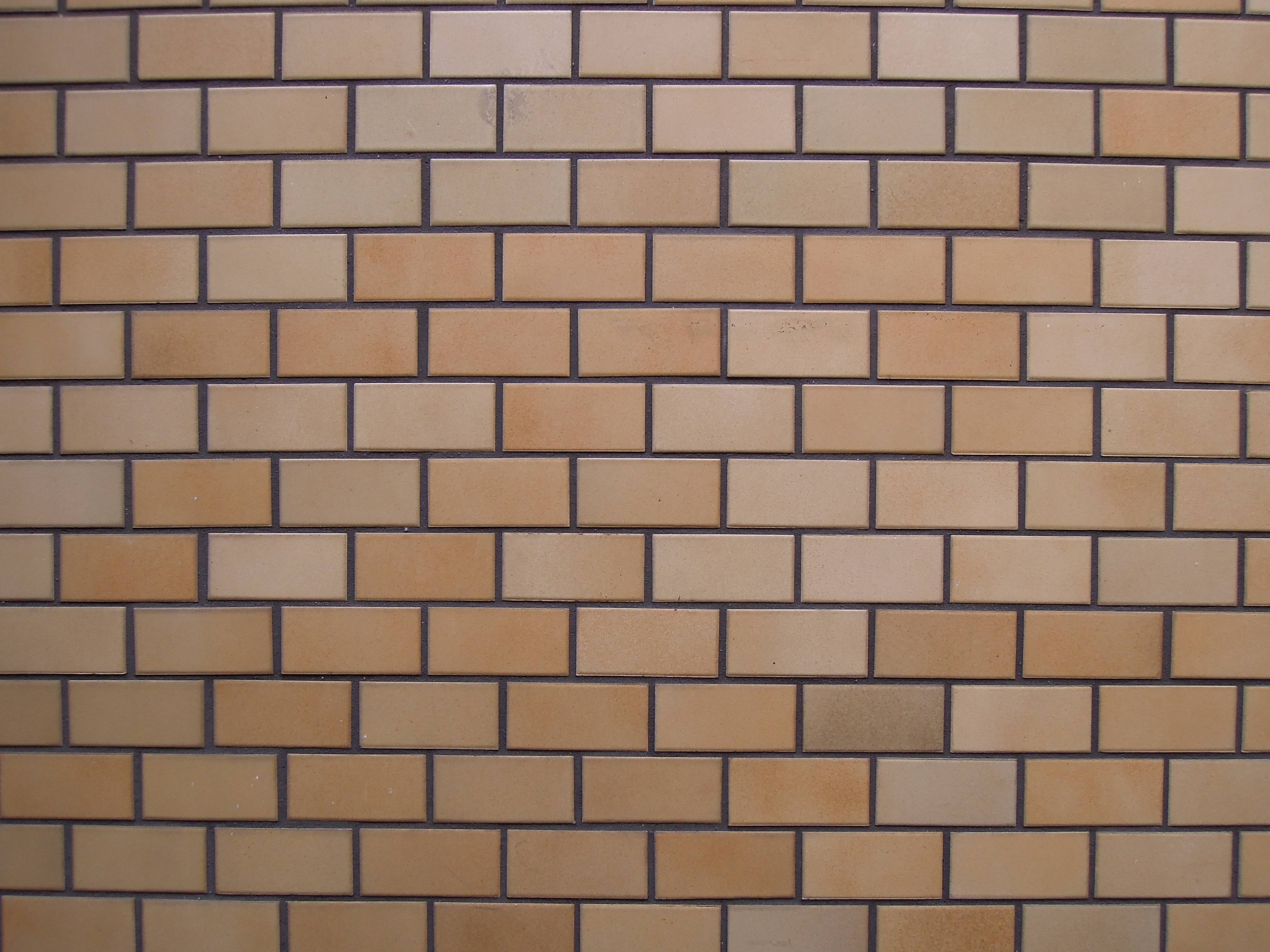 <b>広角端 / F2.8 / COOLPIX P300 / 約4.0MB / 4,000×3,000 / 1/100秒 / 0EV / ISO160 / WB:曇天 / 4.3mm</b>