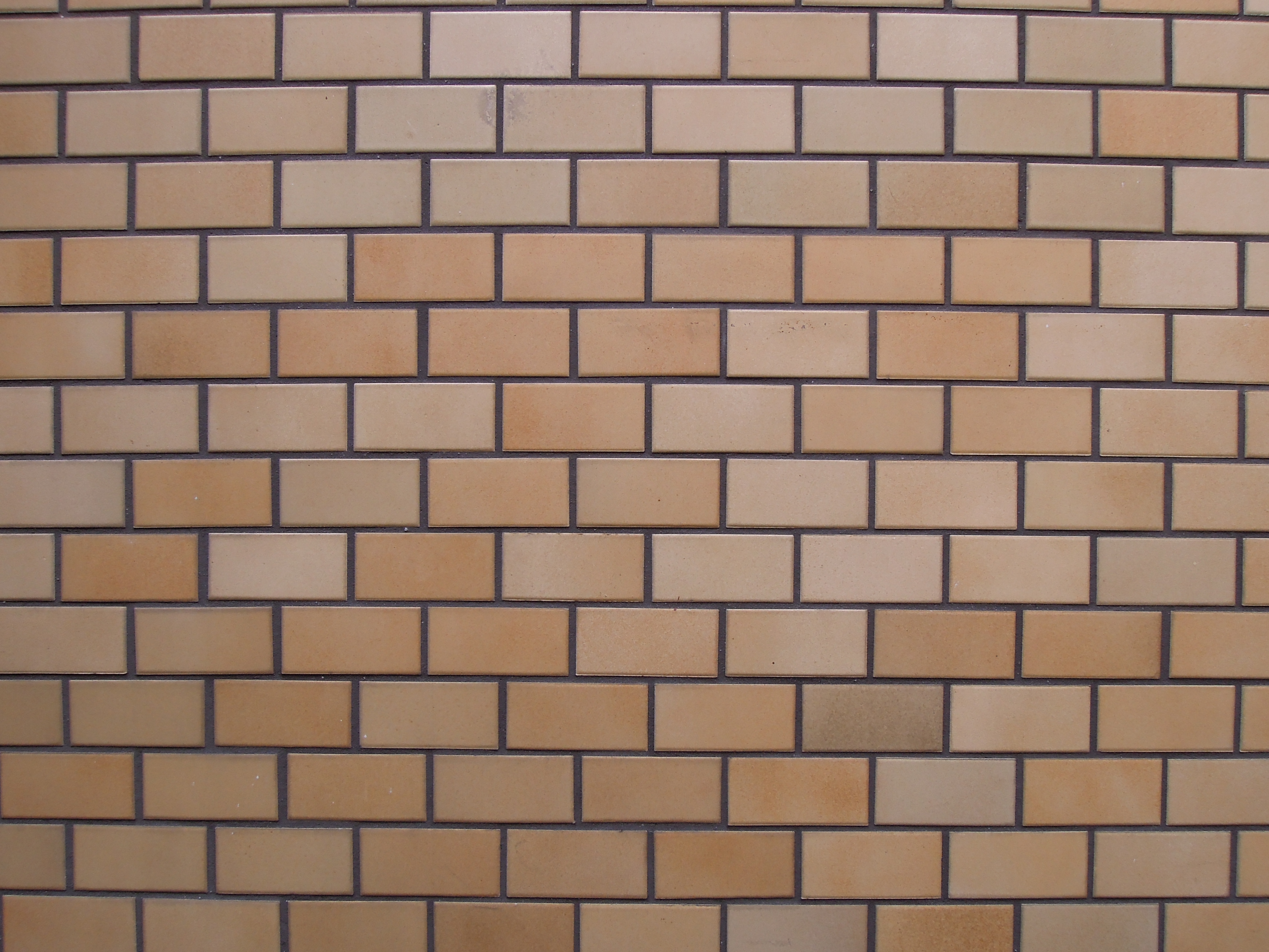 <b>広角端 / F5.6 / COOLPIX P300 / 約3.8MB / 4,000×3,000 / 1/25秒 / 0EV / ISO160 / WB:曇天 / 4.3mm</b>