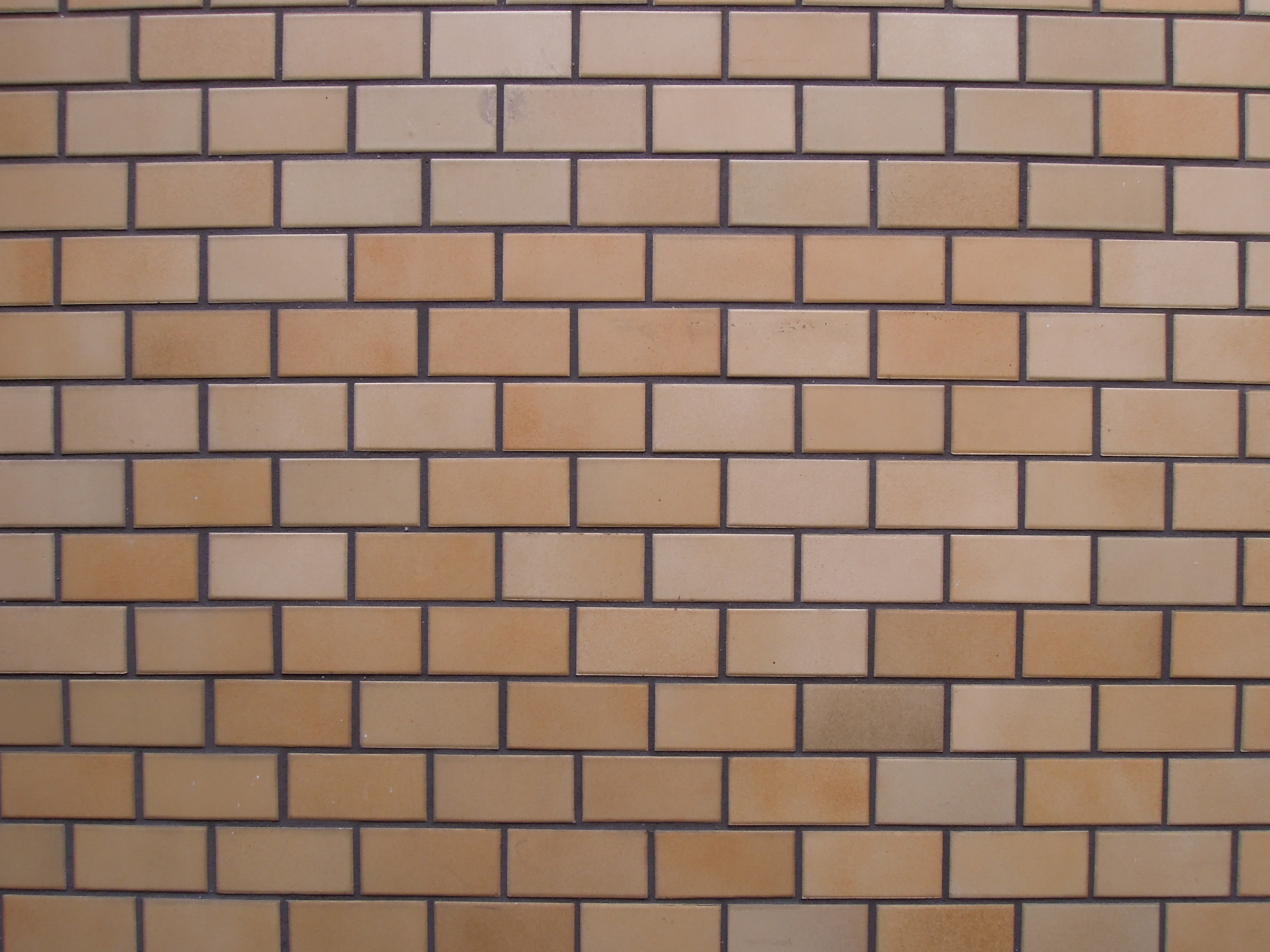 <b>広角端 / F8 / COOLPIX P300 / 約3.7MB / 4,000×3,000 / 1/13秒 / 0EV / ISO160 / WB:曇天 / 4.3mm</b>