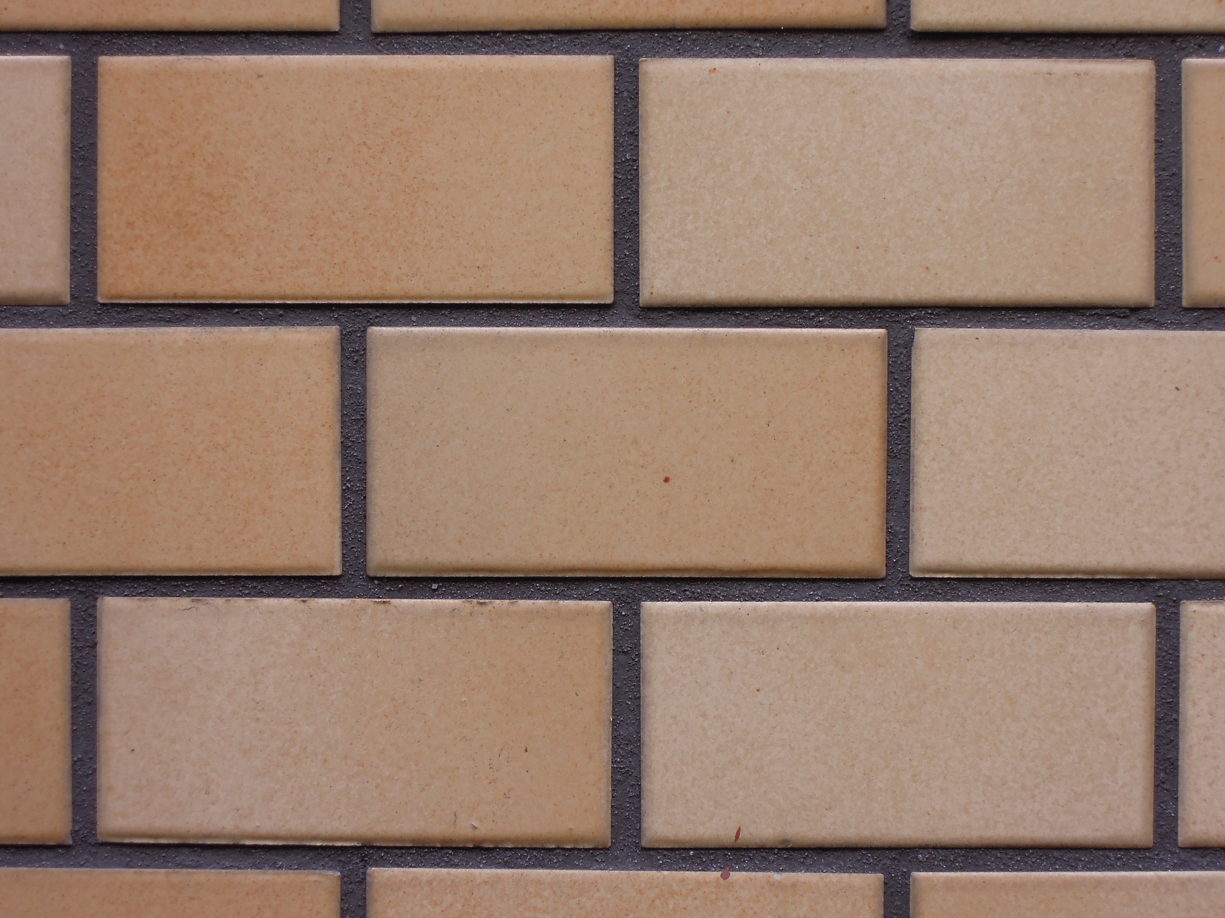 <b>望遠端 / F4.9 / COOLPIX P300 / 約4.7MB / 4,000×3,000 / 1/30秒 / F4.9 / 0EV / ISO160 / WB:曇天 / 17.9mm</b>