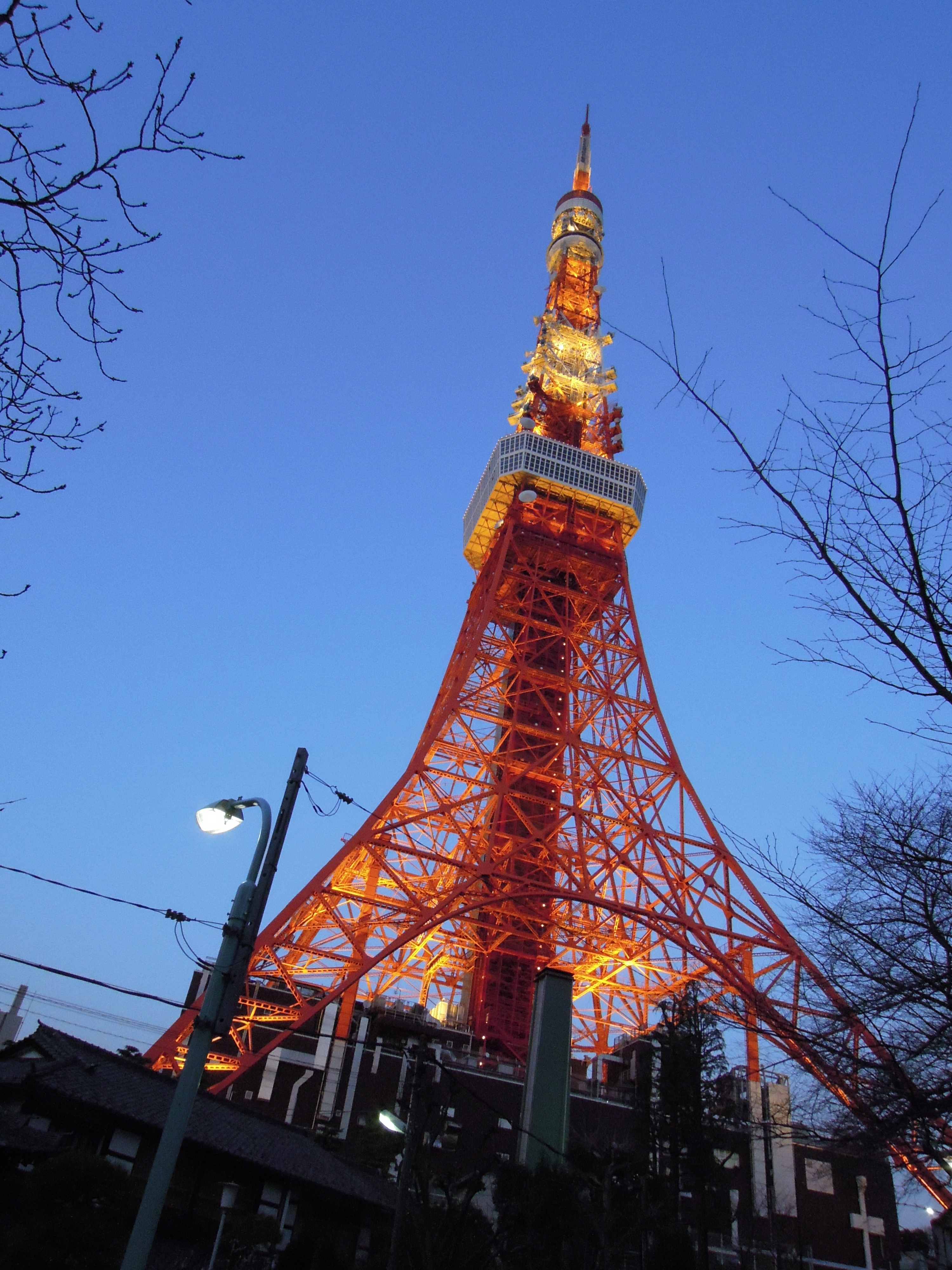 <b>ISO800 / COOLPIX P300 / 約4.0MB / 3,000×4,000 / 1/100秒 / F5.6 / 0EV / WB:晴天 / 4.3mm</b>