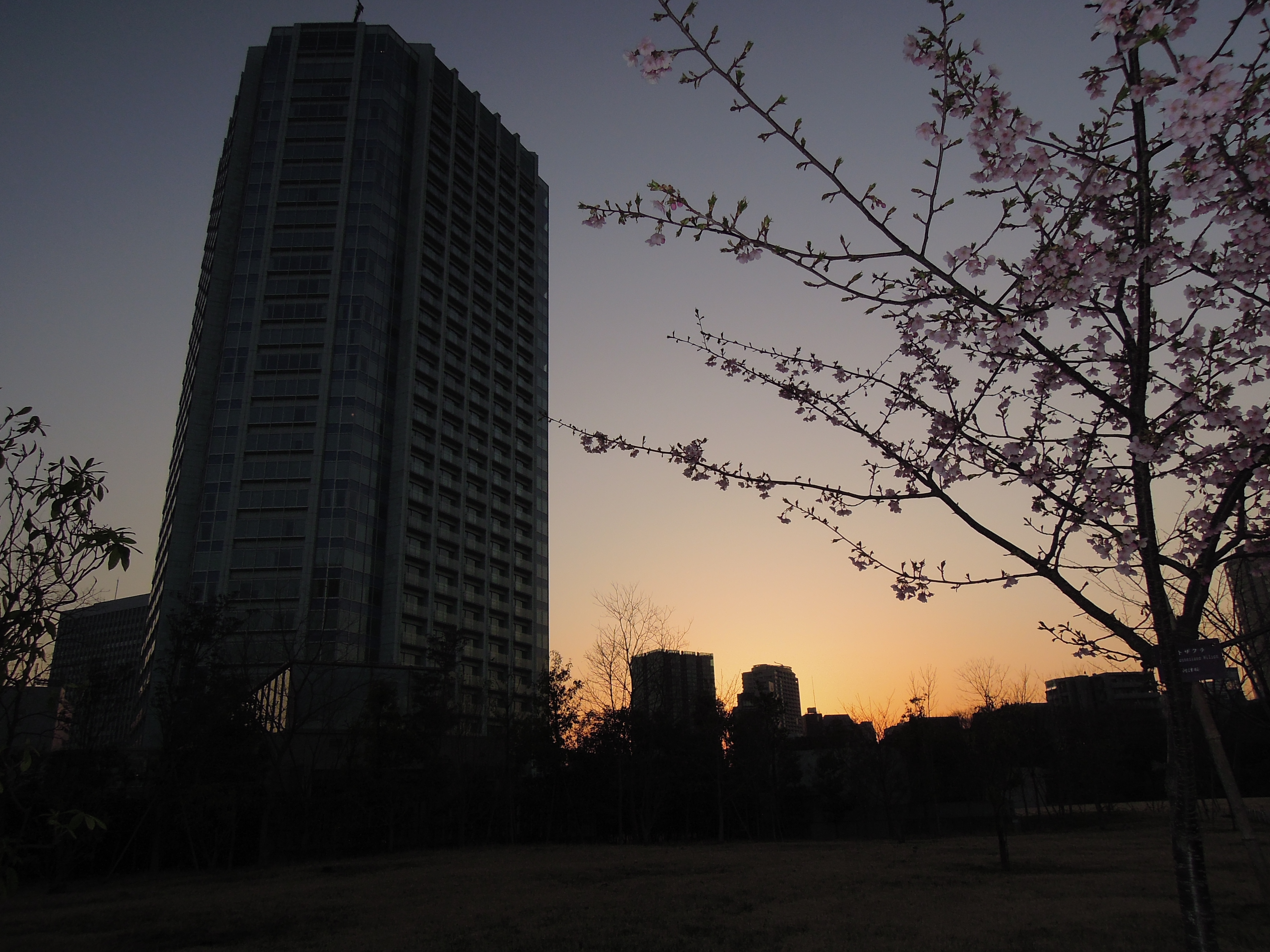 <b>HDR:OFF / COOLPIX P300 / 約3.8MB / 4,000×3,000 / 1/1600秒 / F3.2 / 0EV / ISO160 / WB:オート / 4.3mm</b>