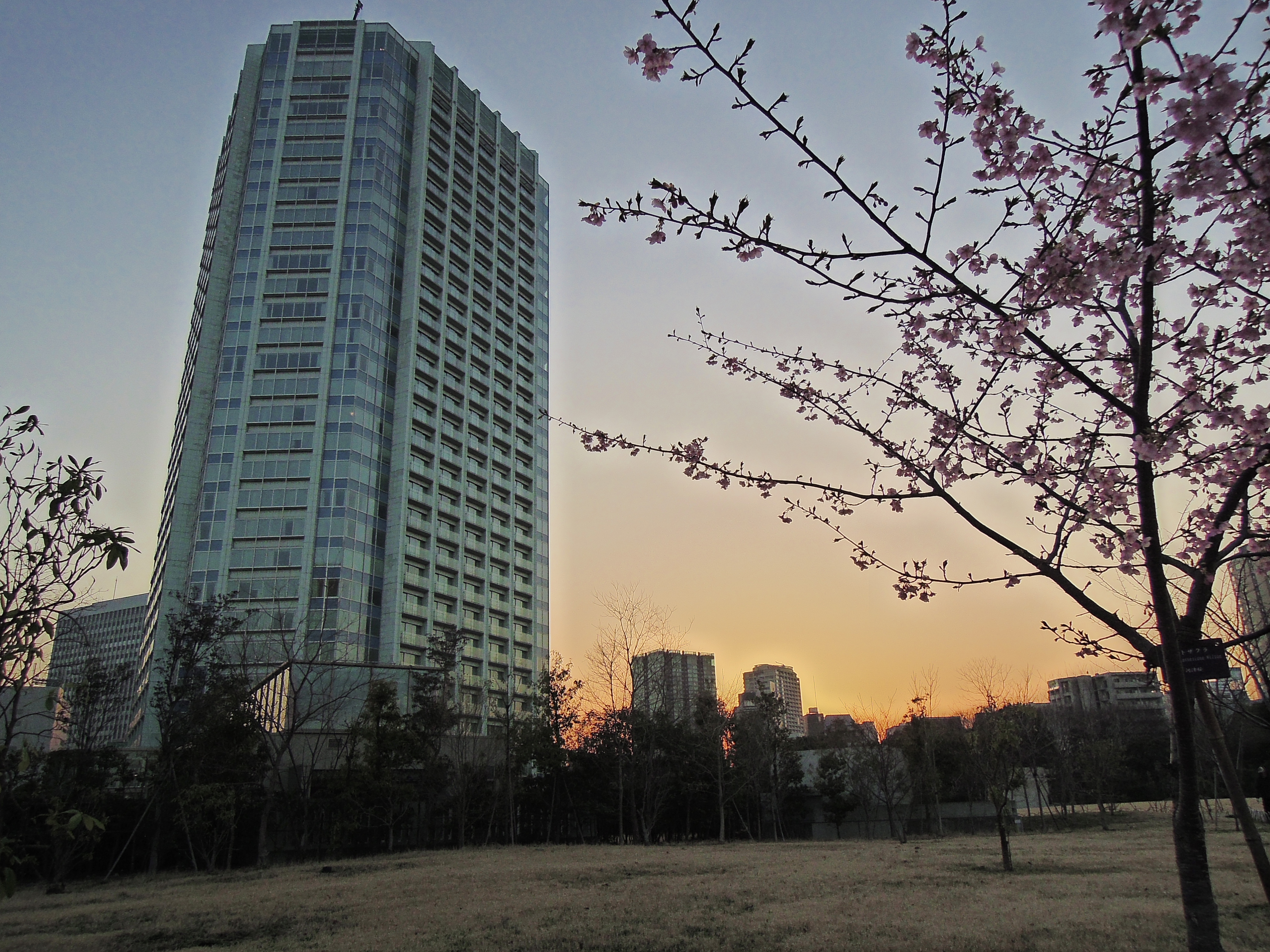 <b>HDR:レベル2 / COOLPIX P300 / 約4.8MB / 4,000×3,000 / 1/1,250秒 / F2.8 / 0EV / ISO160 / WB:オート / 4.3mm</b>