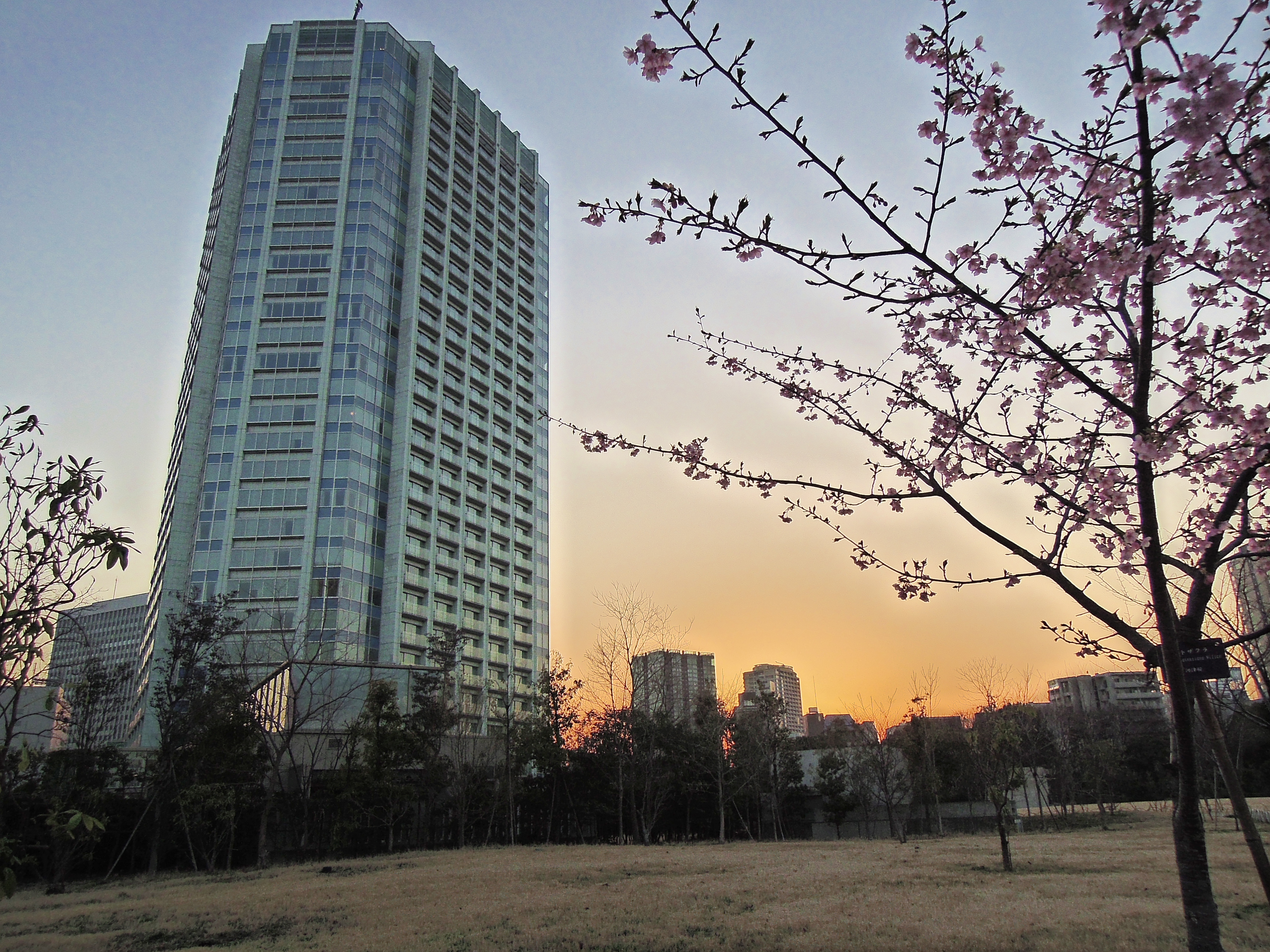 <b>HDR:レベル3 / COOLPIX P300 / 約5.1MB / 4,000×3,000 / 1/1,250秒 / F2.8 / 0EV / ISO160 / WB:オート / 4.3mm</b>