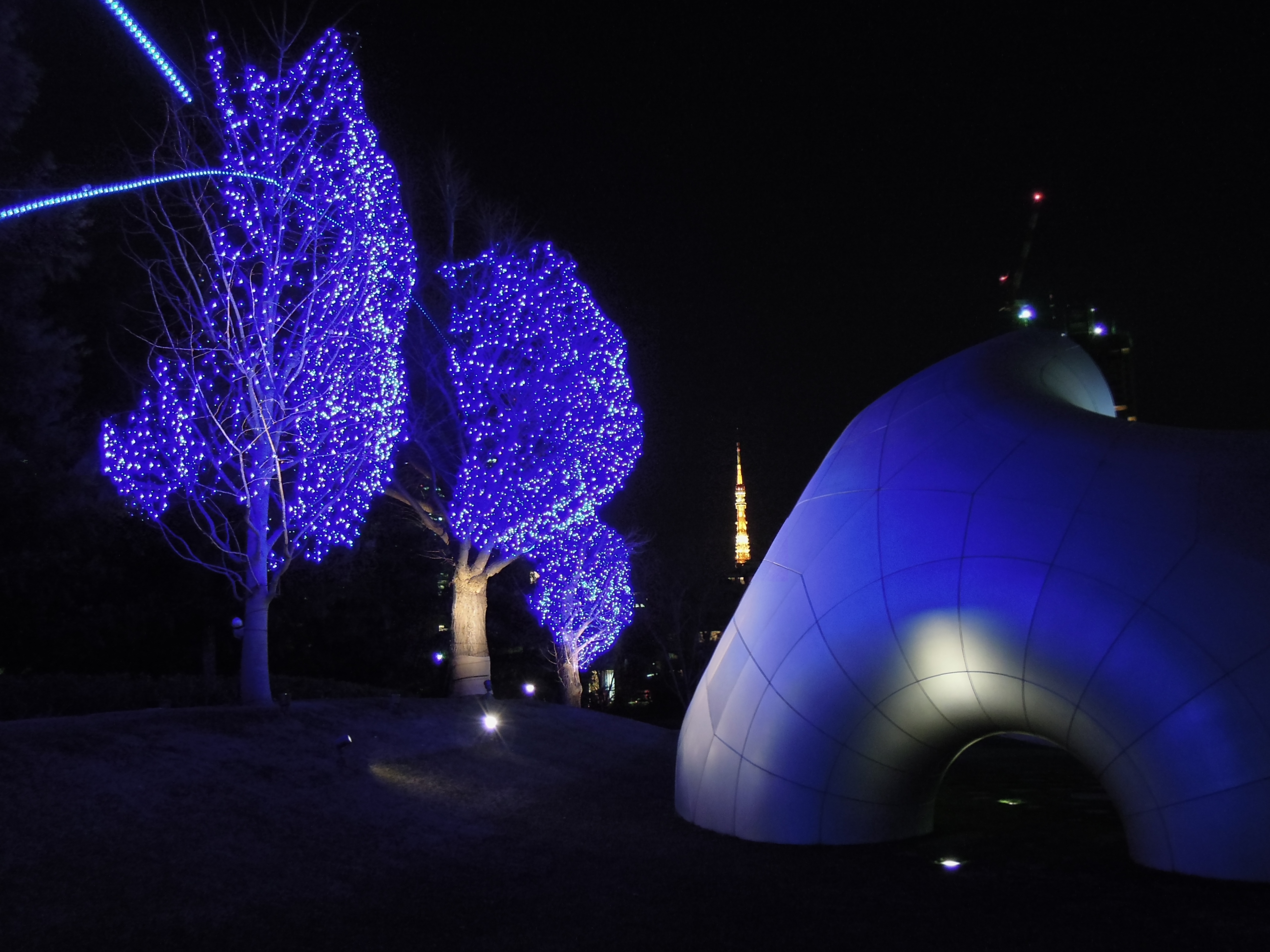 <b>手持ち夜景 / COOLPIX P300 / 約2.5MB / 4,000×3,000 / 1/30秒 / F2.1 / 0EV / ISO1000 / WB:オート / 5.5mm</b>