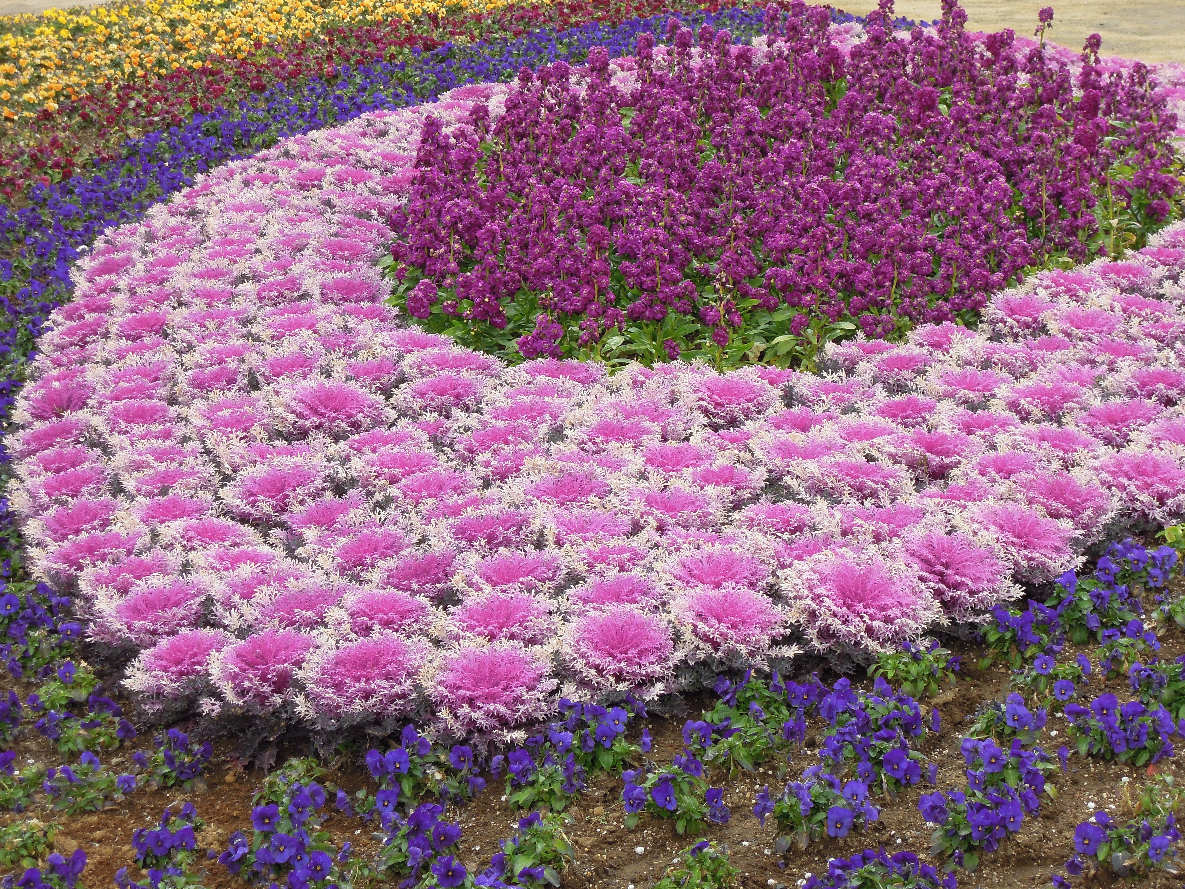 <b>COOLPIX P300 / 約4.1MB / 4,000×3,000 / 1/125秒 / F5.5 / +0.7EV / ISO160 / WB:オート / 17.9mm</b>