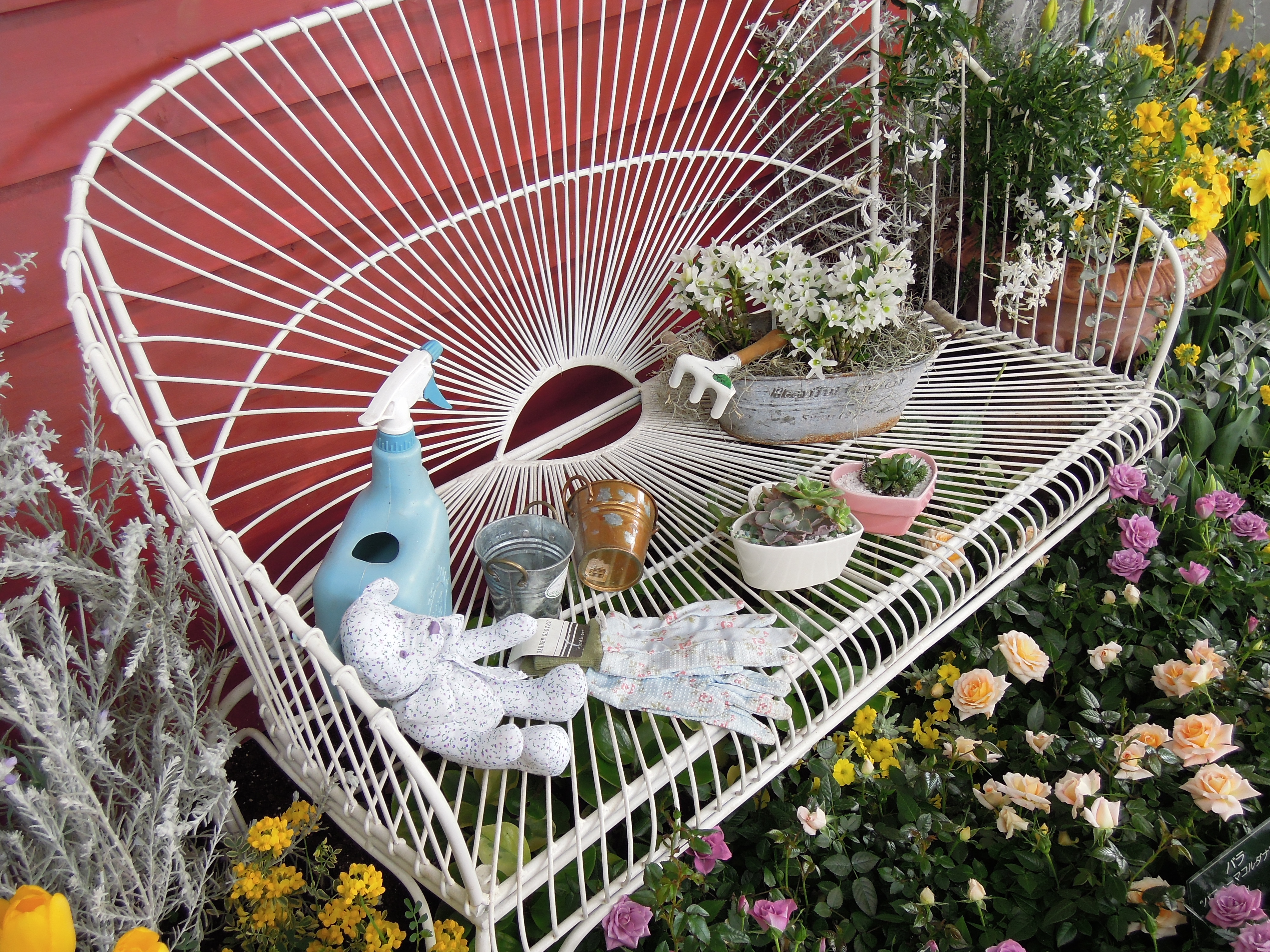 <b>COOLPIX P300 / 約4.2MB / 4,000×3,000 / 1/50秒 / F3.3 / +0.7EV / ISO160 / WB:オート / 7.2mm</b>