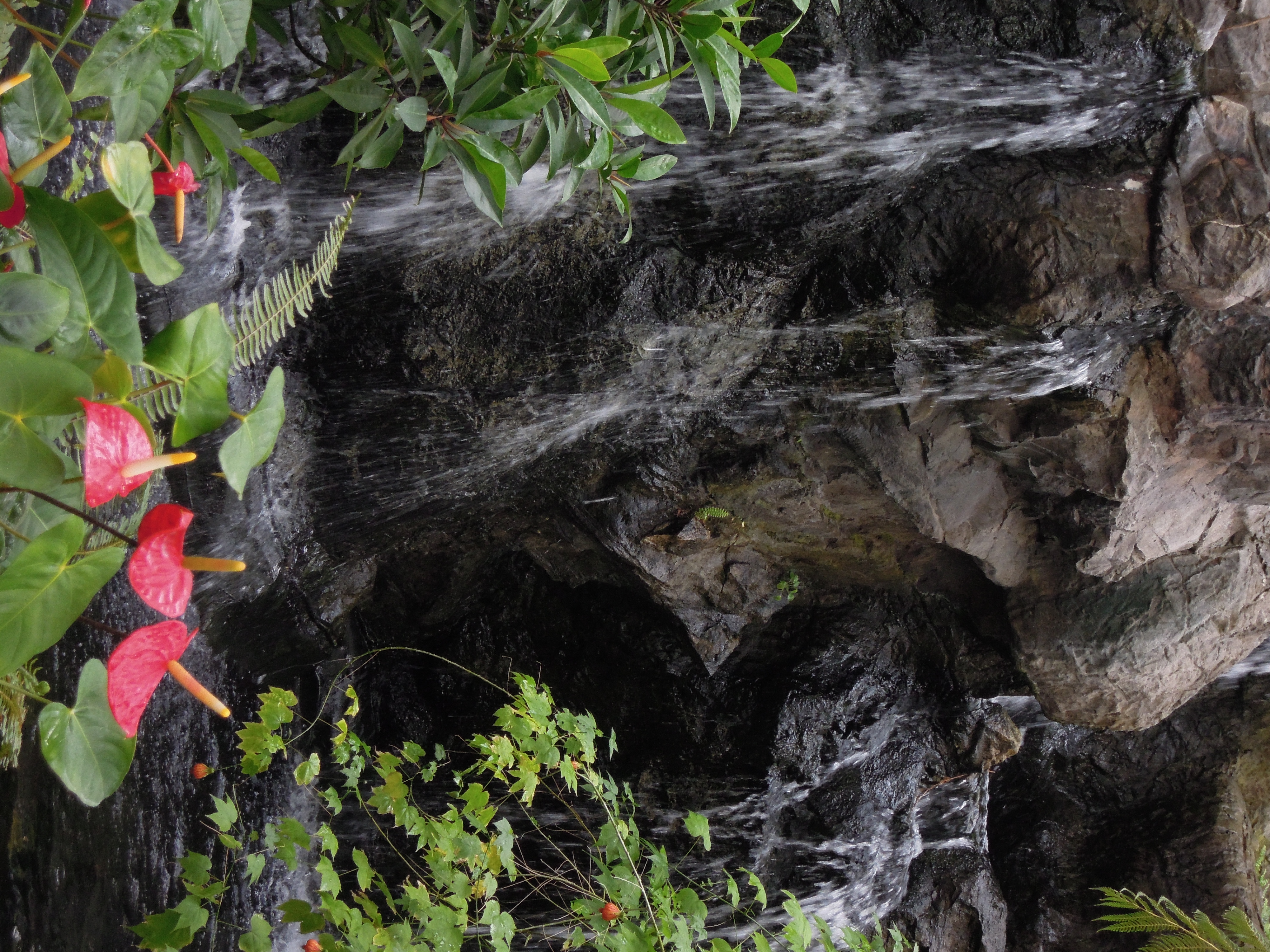 <b>COOLPIX P300 / 約4.8MB / 3,000×4,000 / 1/50秒 / F5.5 / -1.7EV / ISO400 / WB:オート / 17.9mm</b>