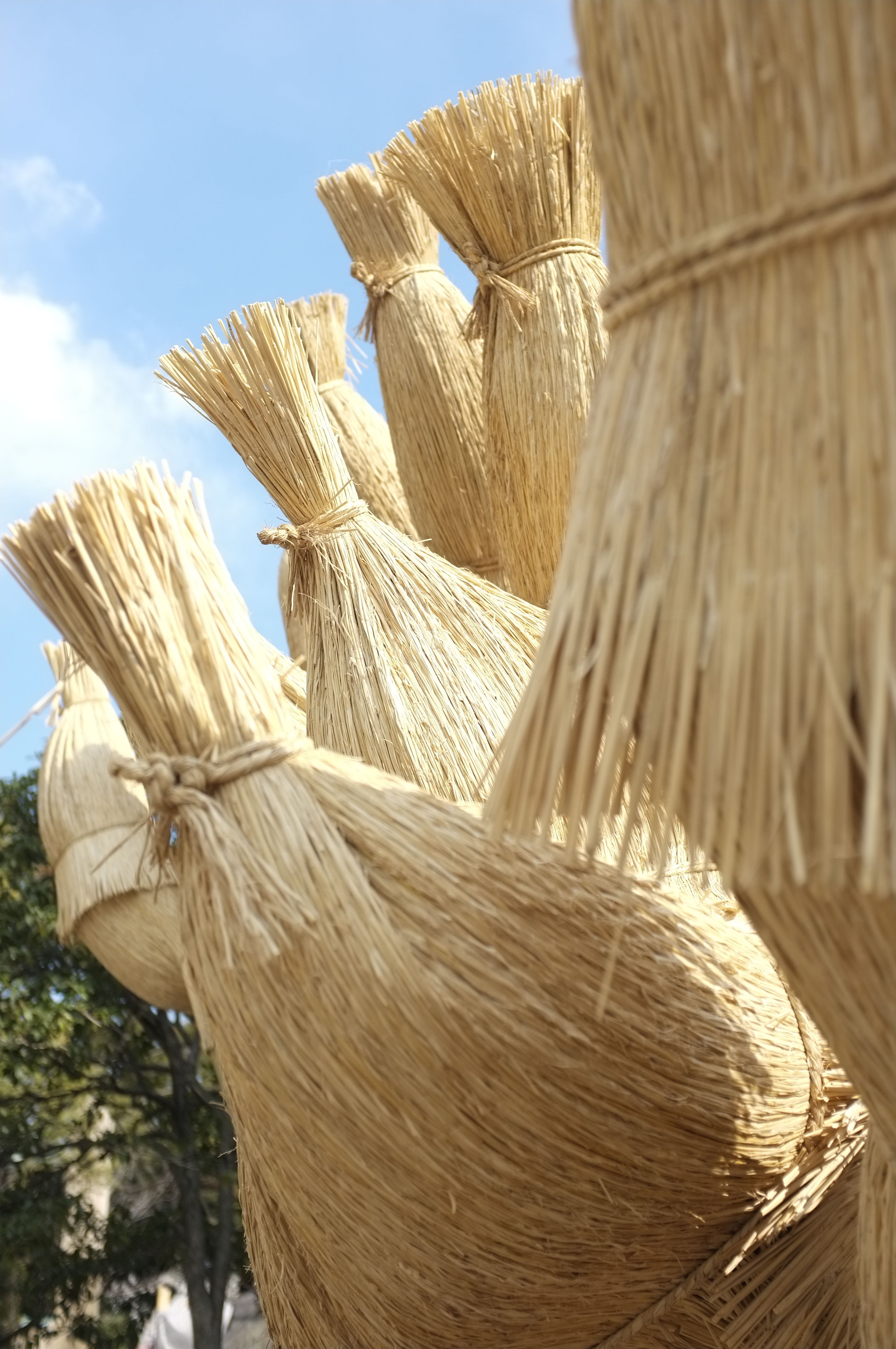 <b>FinePix X100 / 4,288×2,848 / 1/1,250秒 / F2.8 / 0EV / ISO200 / WB:オート / 23m</b>