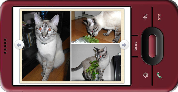 <b>スマートフォン用アプリのイメージ（画面は開発中のもの）</b>