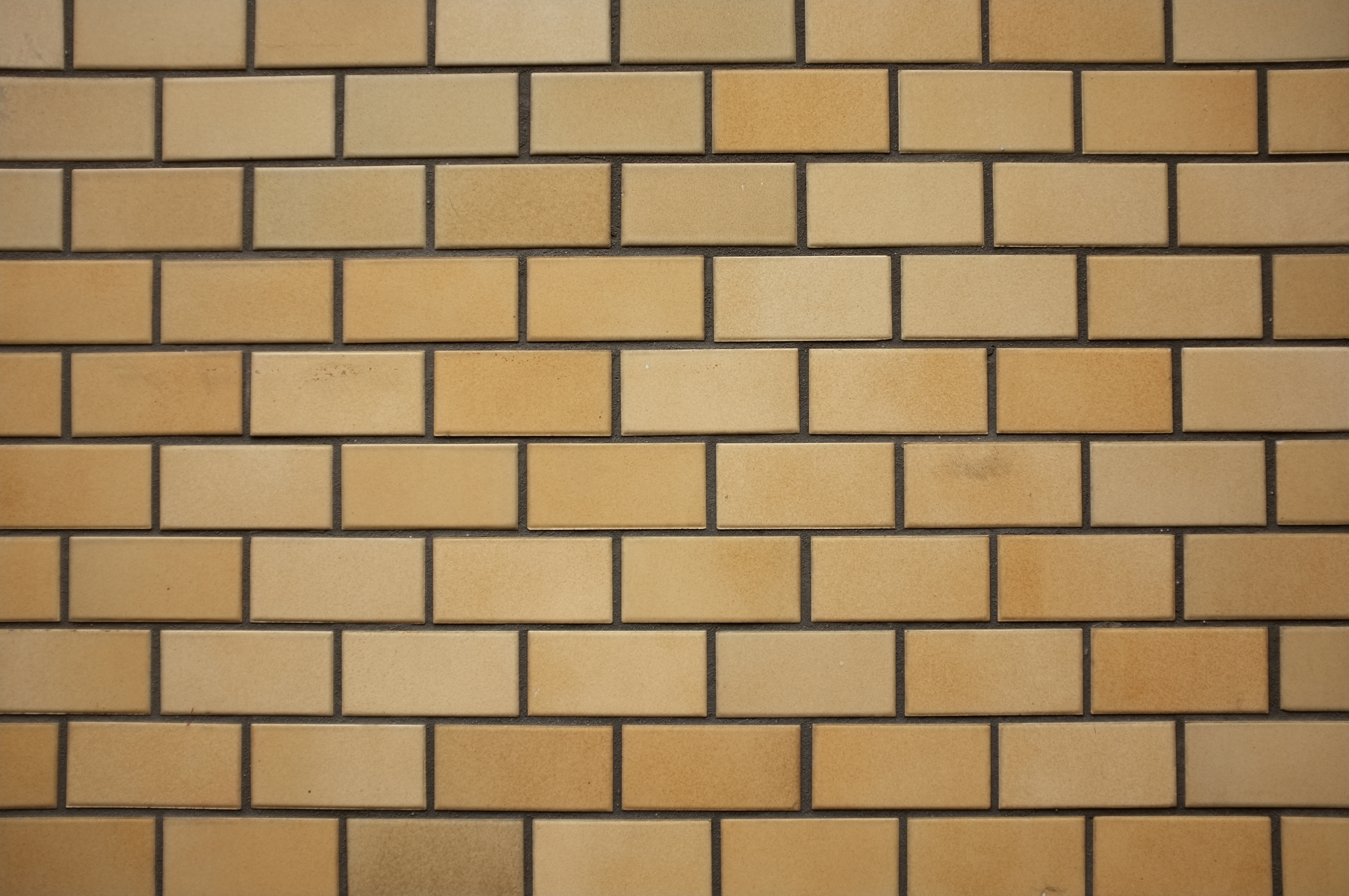 <b>F2 / FinePix X100 / 4.1MB / 4,288×2,848 / 1/320秒 / 0.0EV / ISO200 / WB:日陰</b>