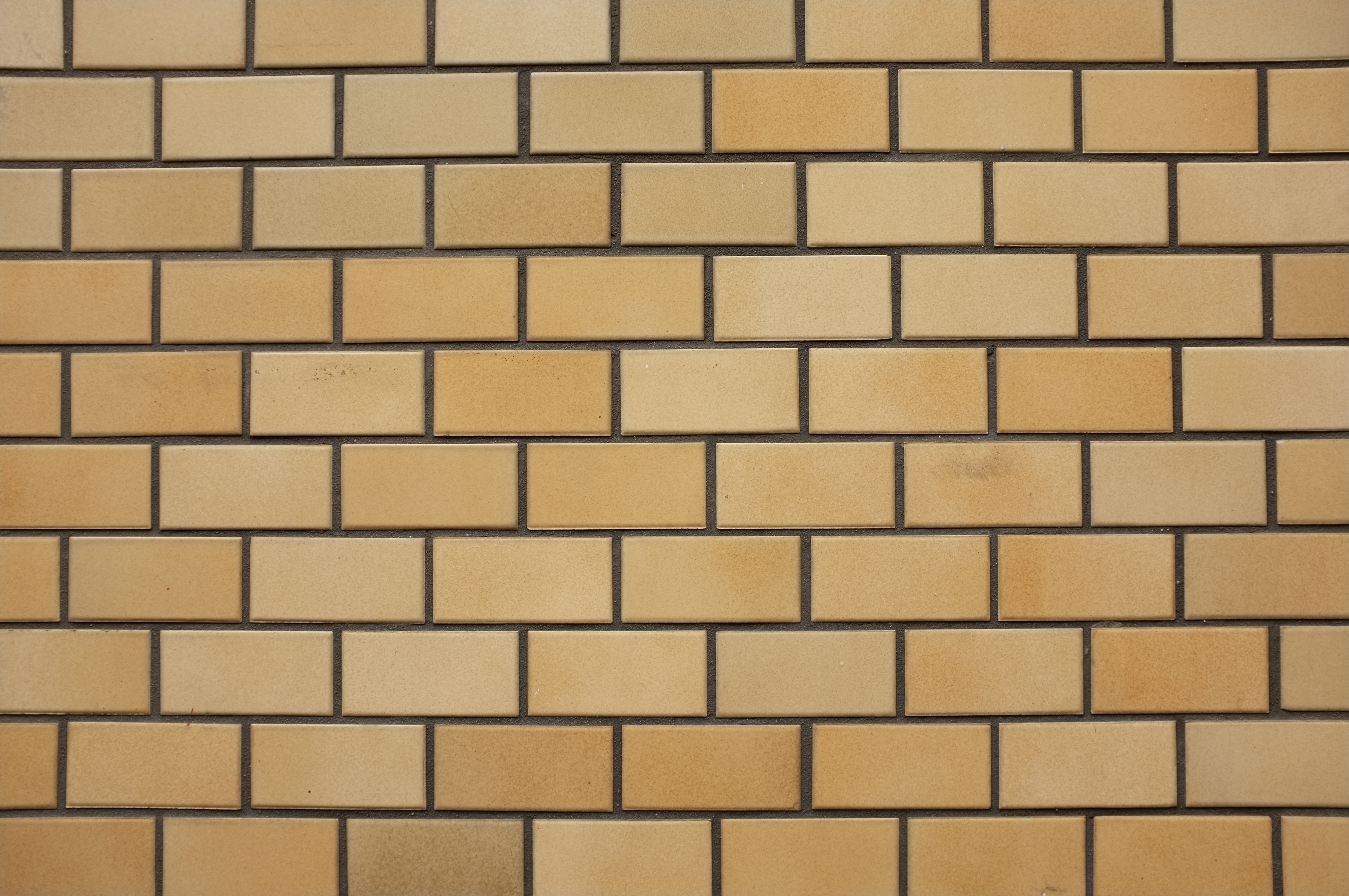 <b>F2.8 / FinePix X100 / 4.2MB / 4,288×2,848 / 1/160秒 / 0.0EV / ISO200 / WB:日陰</b>