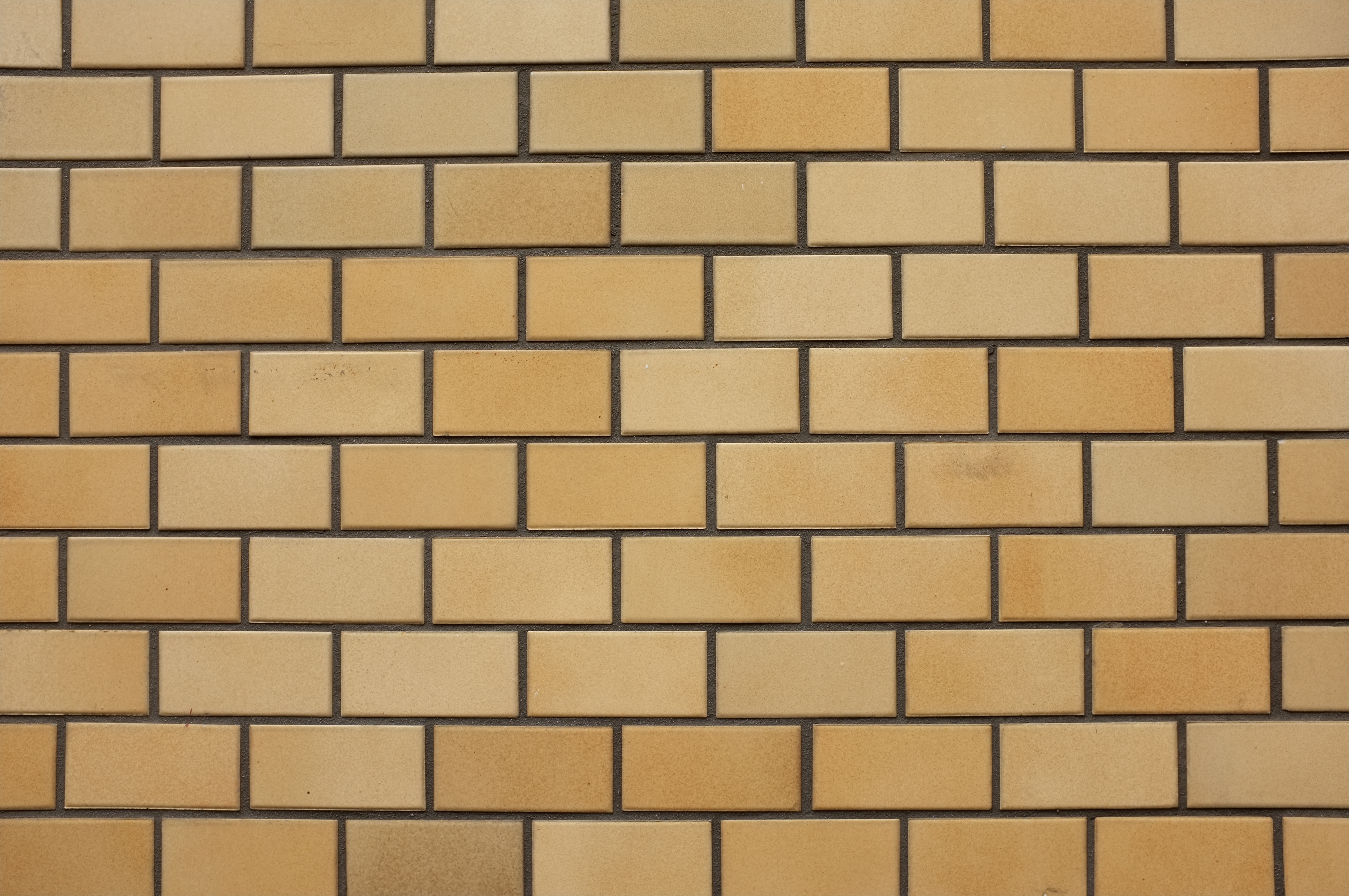 <b>F8 / FinePix X100 / 4.2MB / 4,288×2,848 / 1/20秒 / 0.0EV / ISO200 / WB:日陰</b>