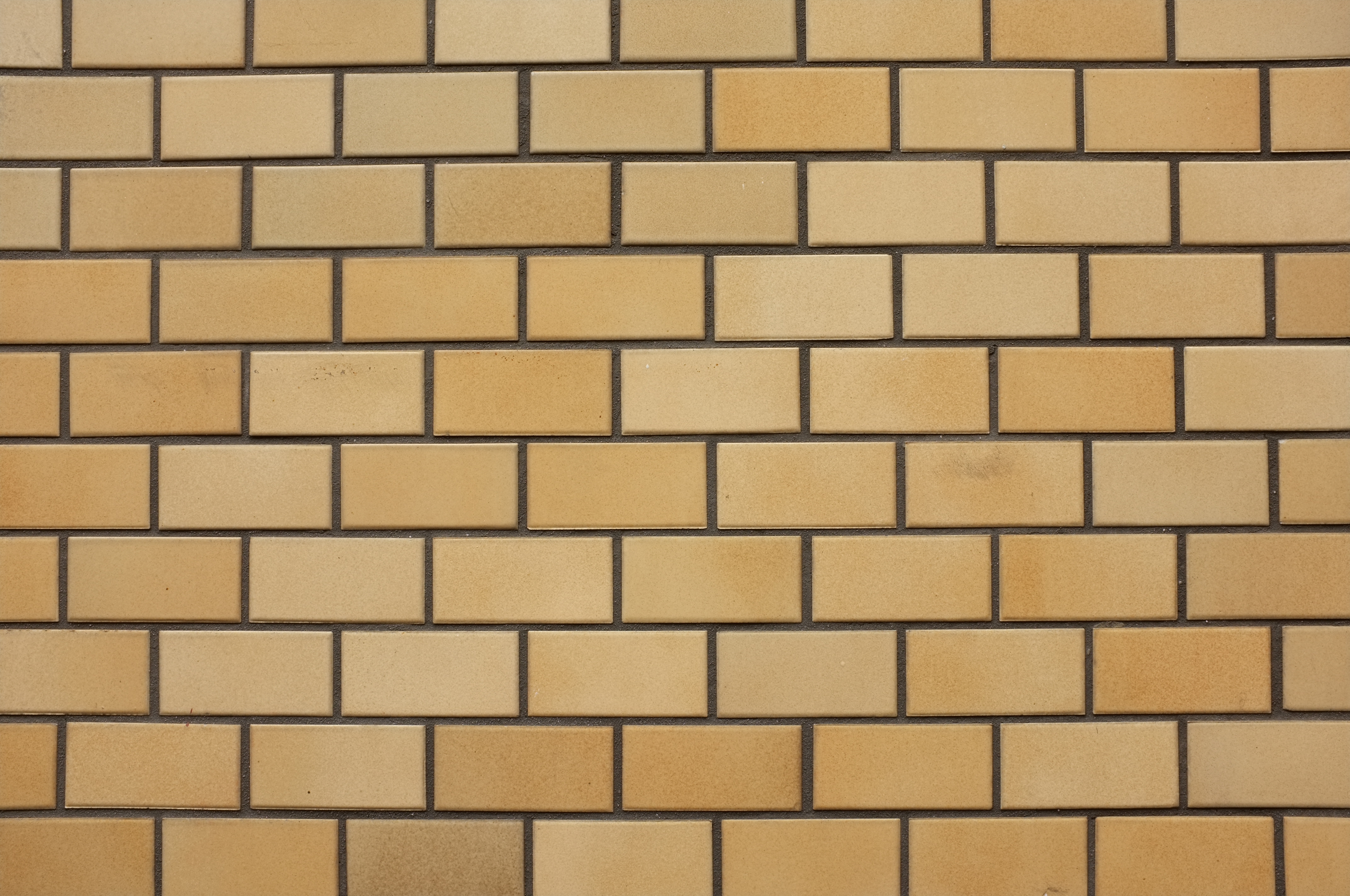 <b>F11 / FinePix X100 / 4.2MB / 4,288×2,848 / 1/10秒 / 0.0EV / ISO200 / WB:日陰</b>