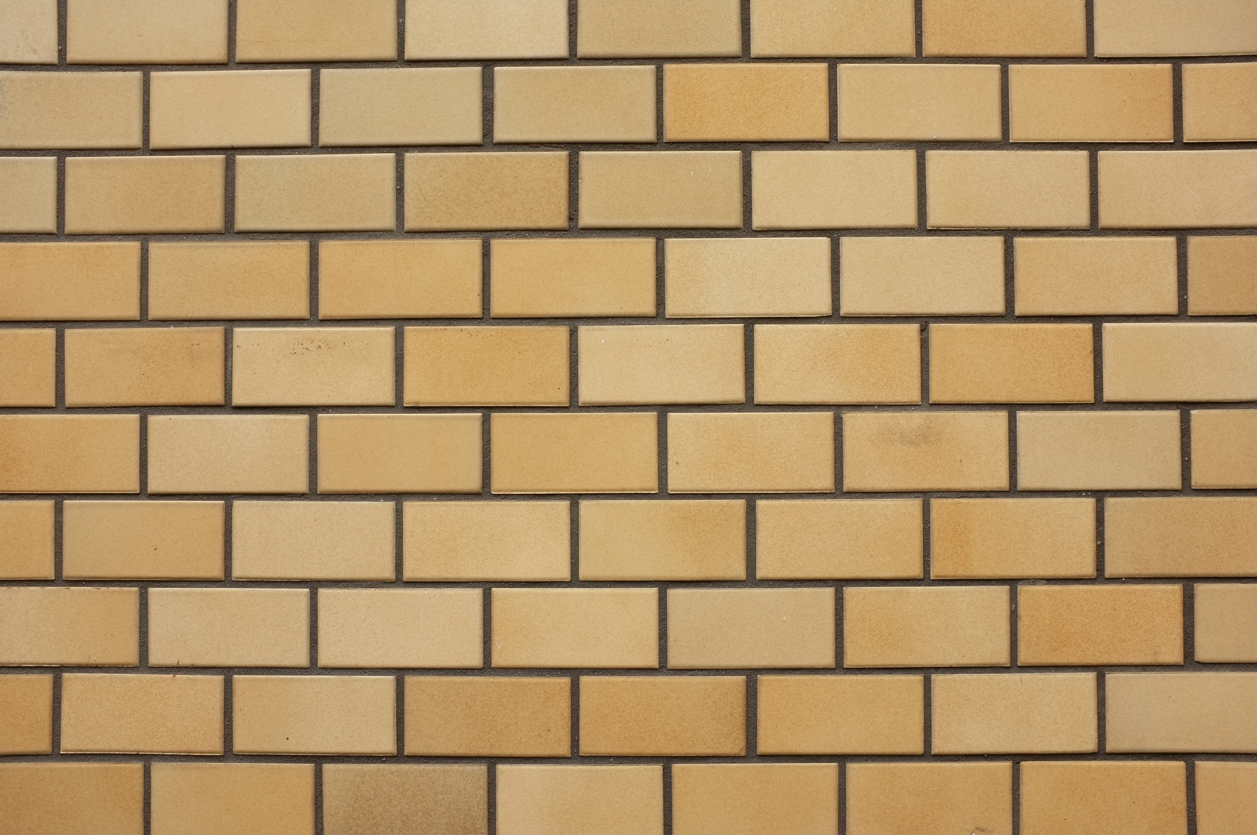 <b>F16 / FinePix X100 / 4.2MB / 4,288×2,848 / 1/5秒 / 0.0EV / ISO200 / WB:日陰</b>