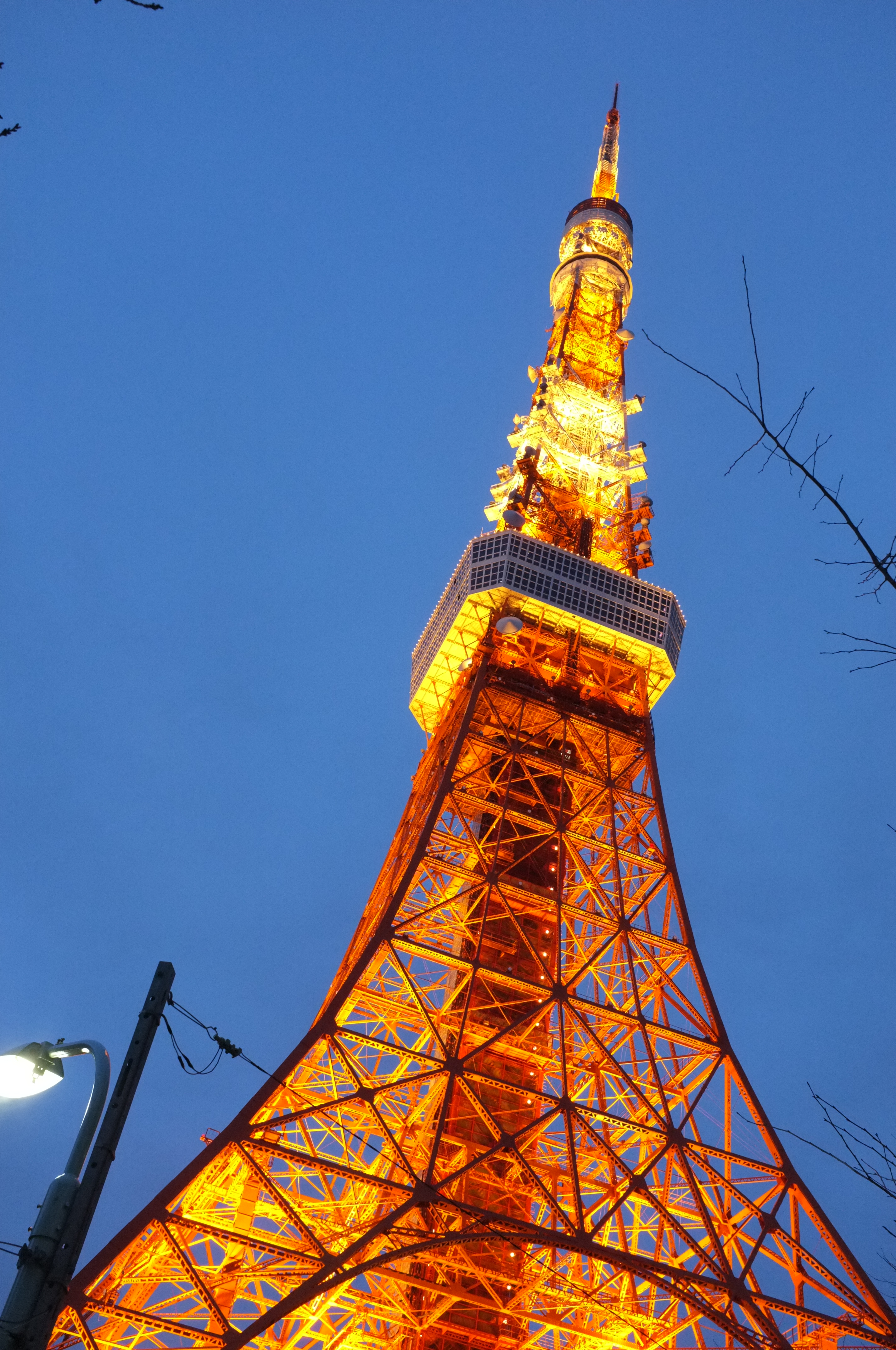 <b>ISO3200（NR:STD） / FinePix X100 / 4.6MB / 2,848×4,288 / 1/25秒 / F8 / 0.0EV / WB:晴天</b>