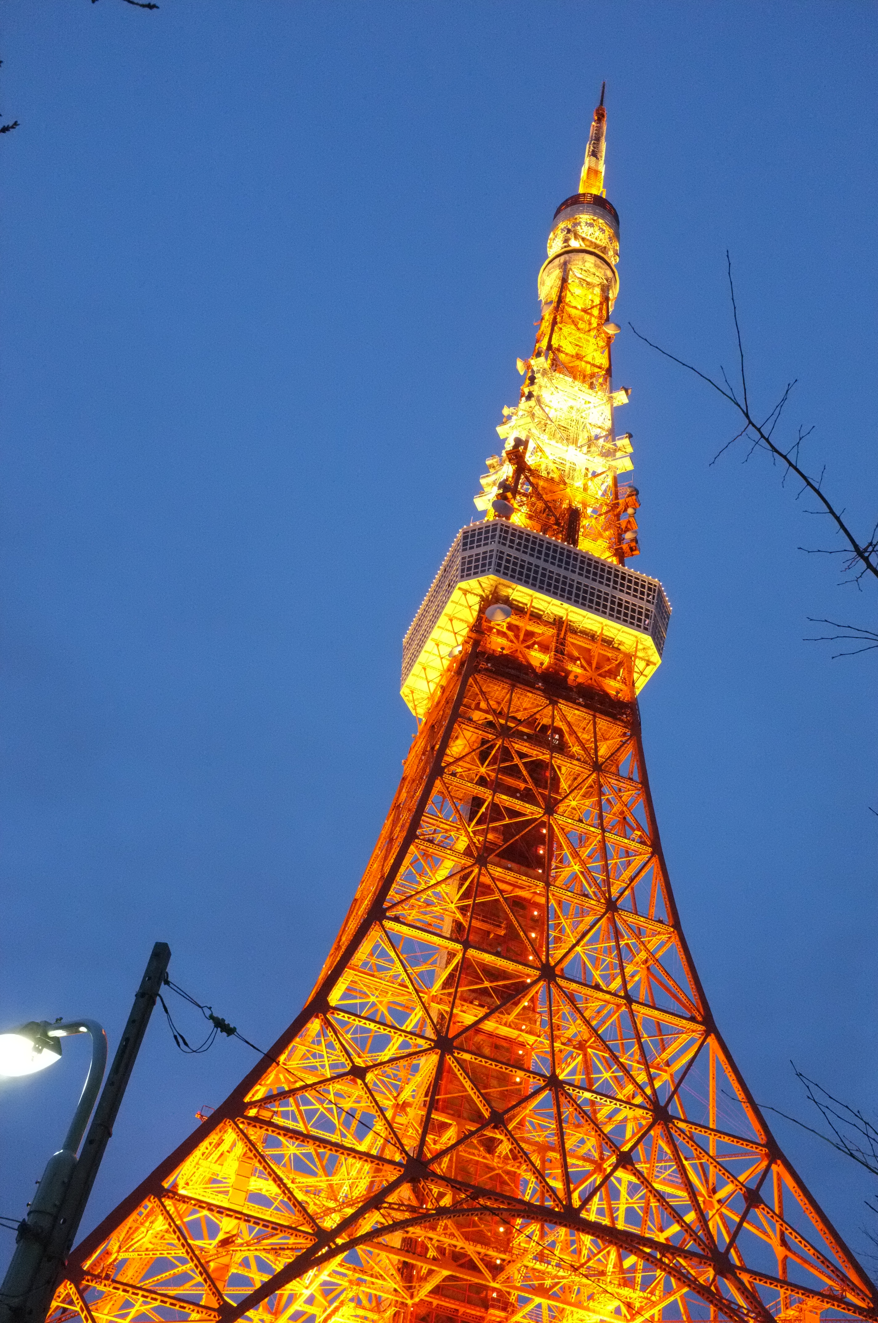 <b>ISO6400（NR:弱） / FinePix X100 / 5.0MB / 2,848×4,288 / 1/38秒 / F8 / 0.0EV / WB:晴天</b>