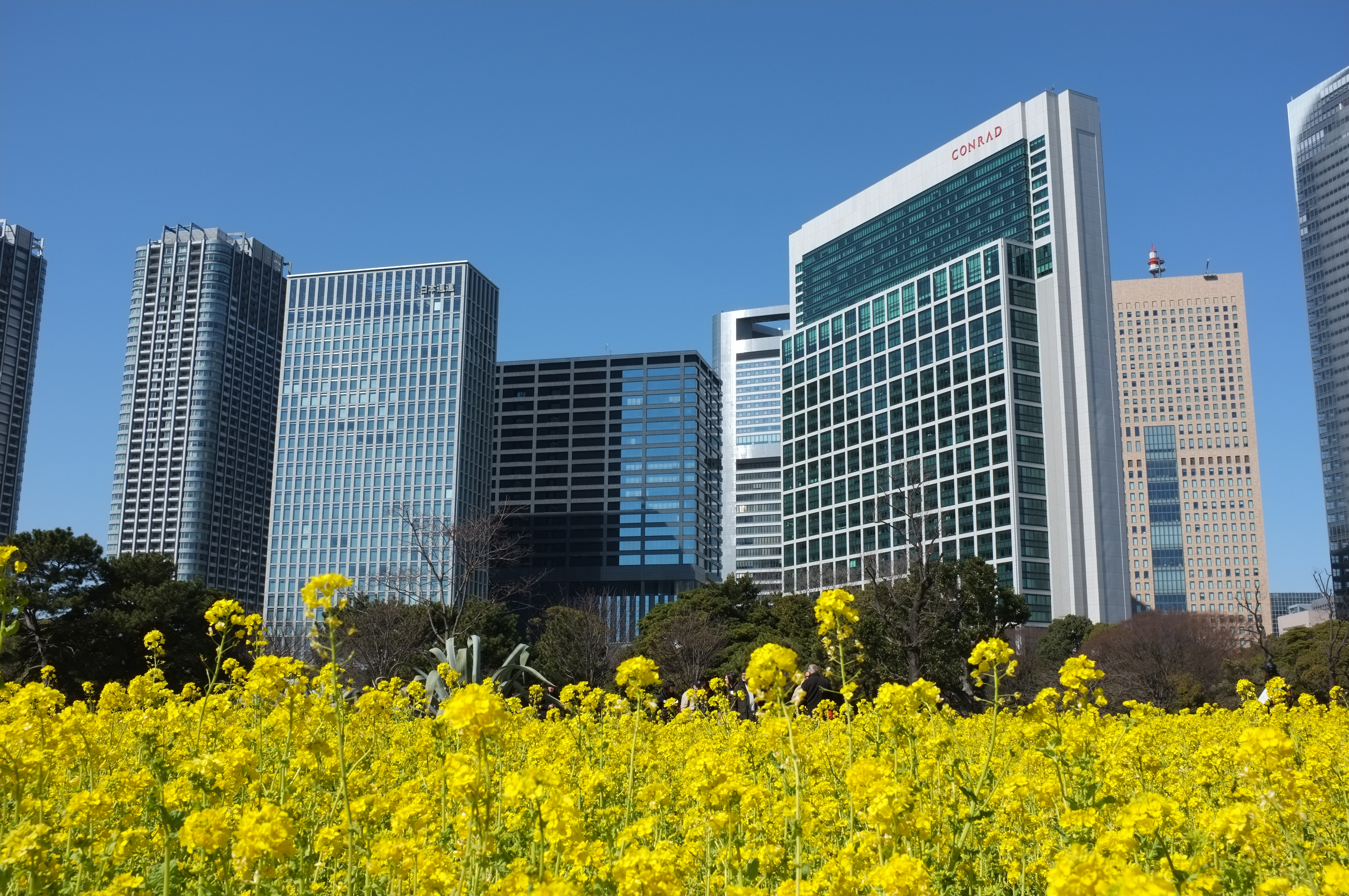 <b>フィルムシミュレーション:PROVIA / FinePix X100 / 4.4MB / 4,288×2,848 / 1/280秒 / F11 / 0.0EV / ISO200 / WB:オート</b>