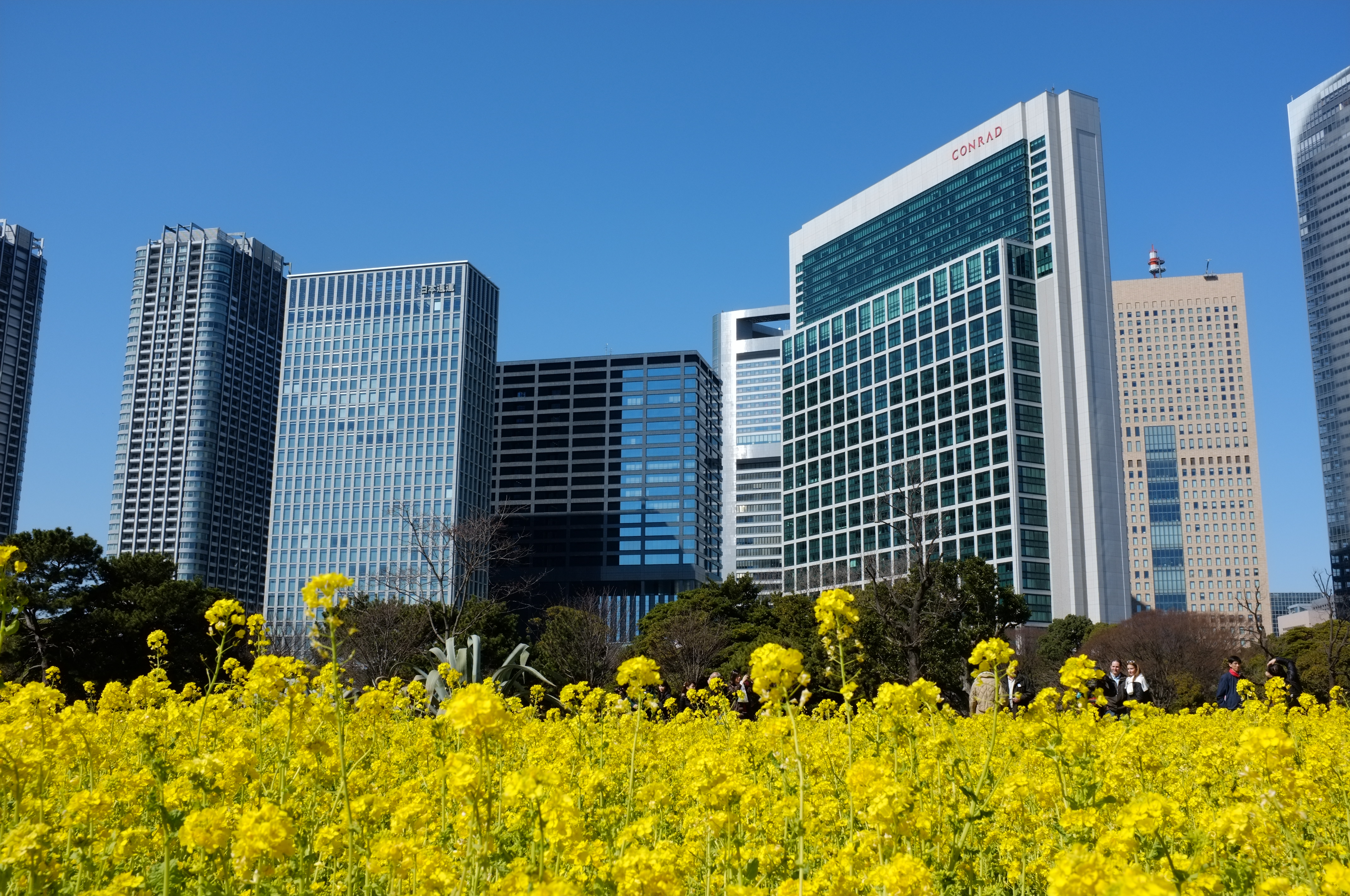 <b>フィルムシミュレーション:ASTIA / FinePix X100 / 4.4MB / 4,288×2,848 / 1/280秒 / F11 / 0.0EV / ISO200 / WB:オート</b>