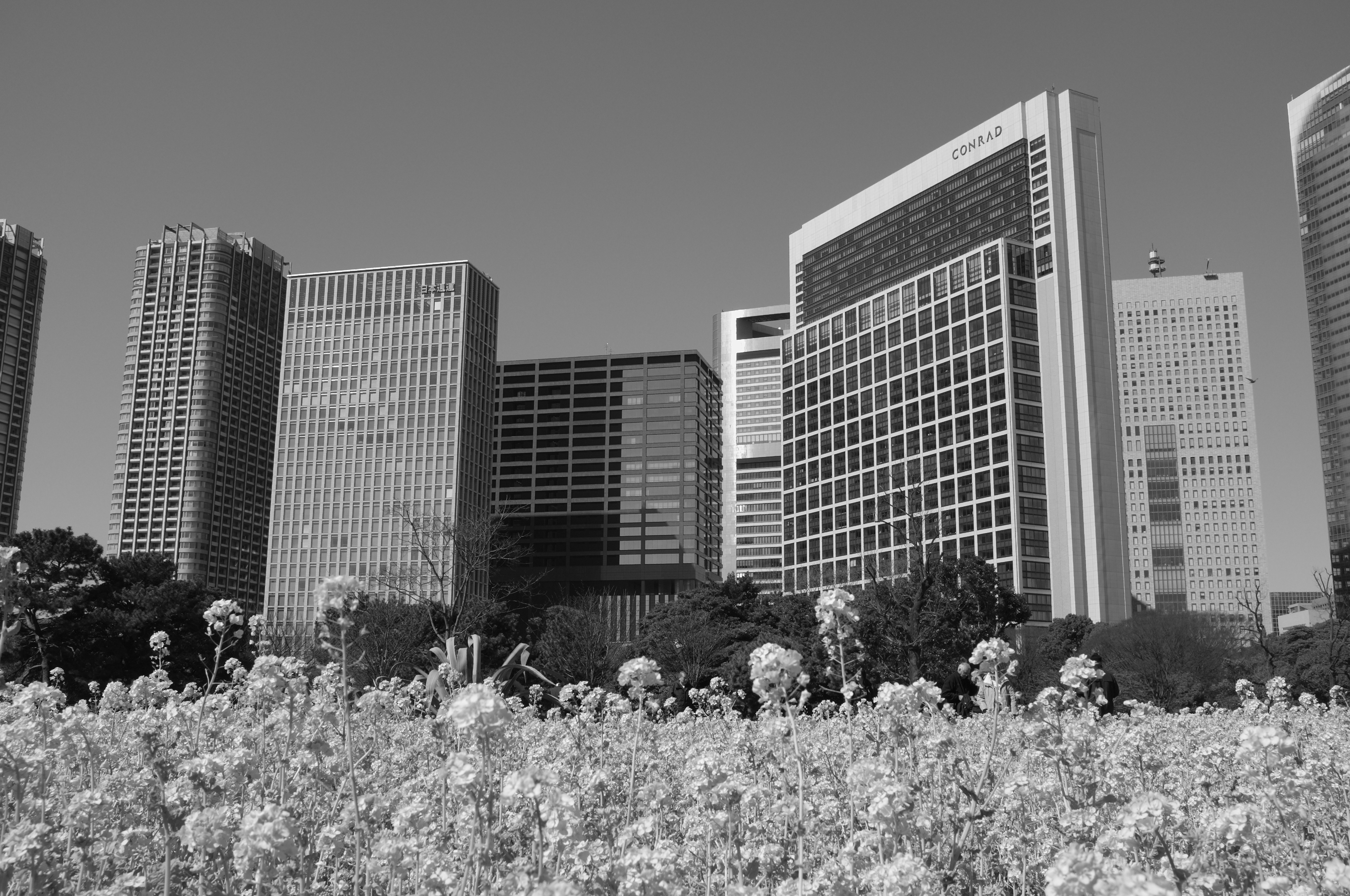 <b>フィルムシミュレーション:モノクローム（Gフィルター） / FinePix X100 / 4.6MB / 4,288×2,848 / 1/280秒 / F11 / 0.0EV / ISO200 / WB:オート</b>