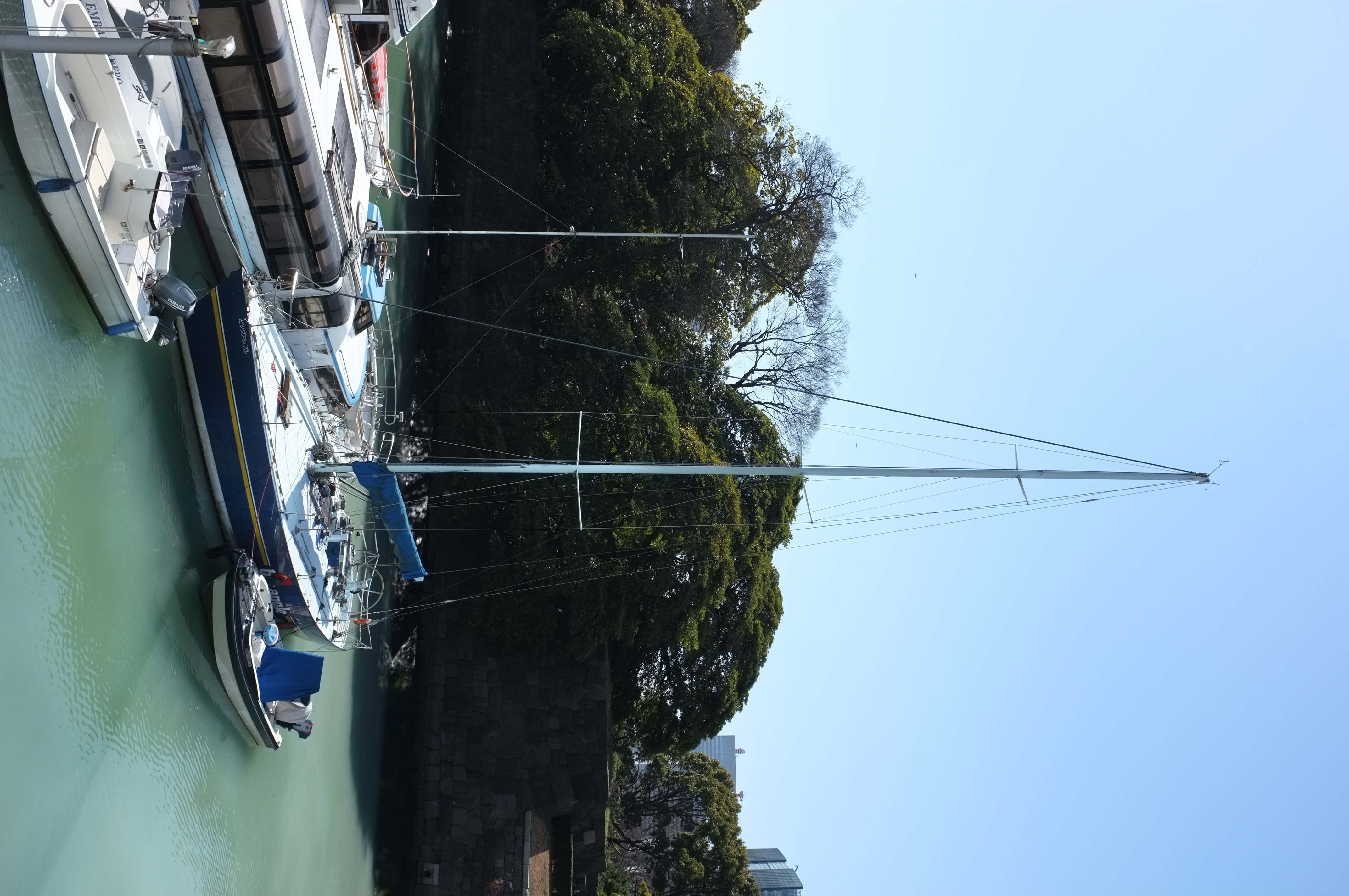 <b>FinePix X100 / 4.0MB / 2,848×4,288 / 1/350秒 / F8 / -0.3EV / ISO200 / WB:オート</b>