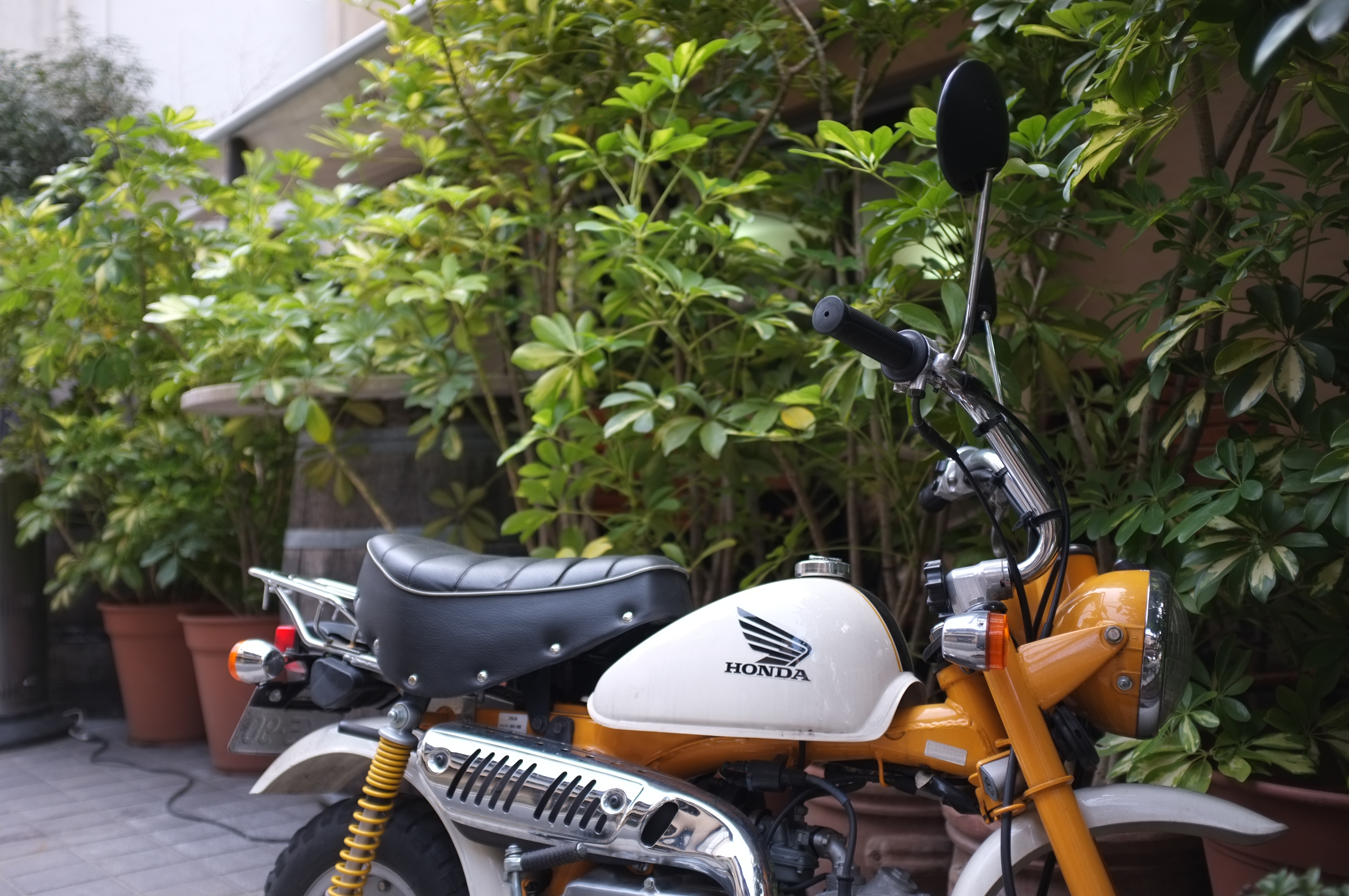 <b>FinePix X100 / 3.9MB / 4,288×2,848 / 1/320秒 / F2 / -0.3EV / ISO200 / WB:オート</b>