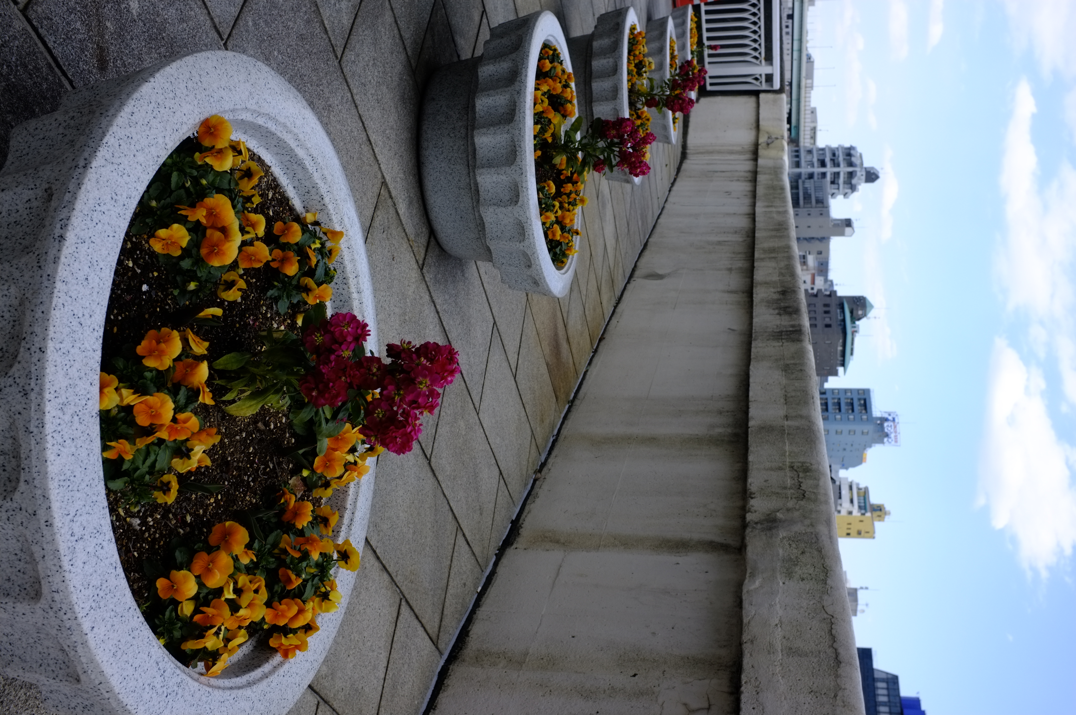 <b>Velvia/ビビッド</b>