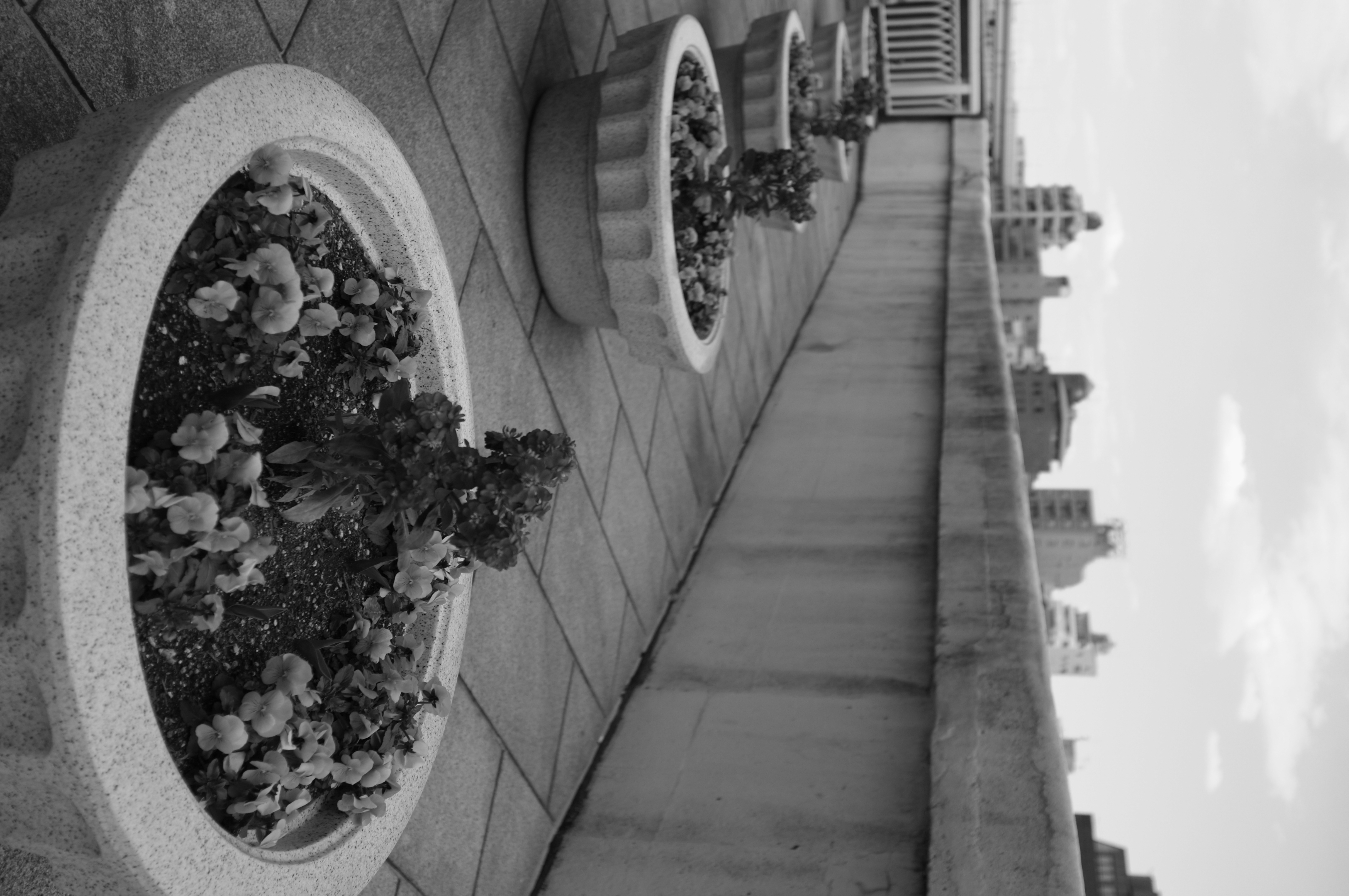 <b>モノクロ+Yeフィルター</b>