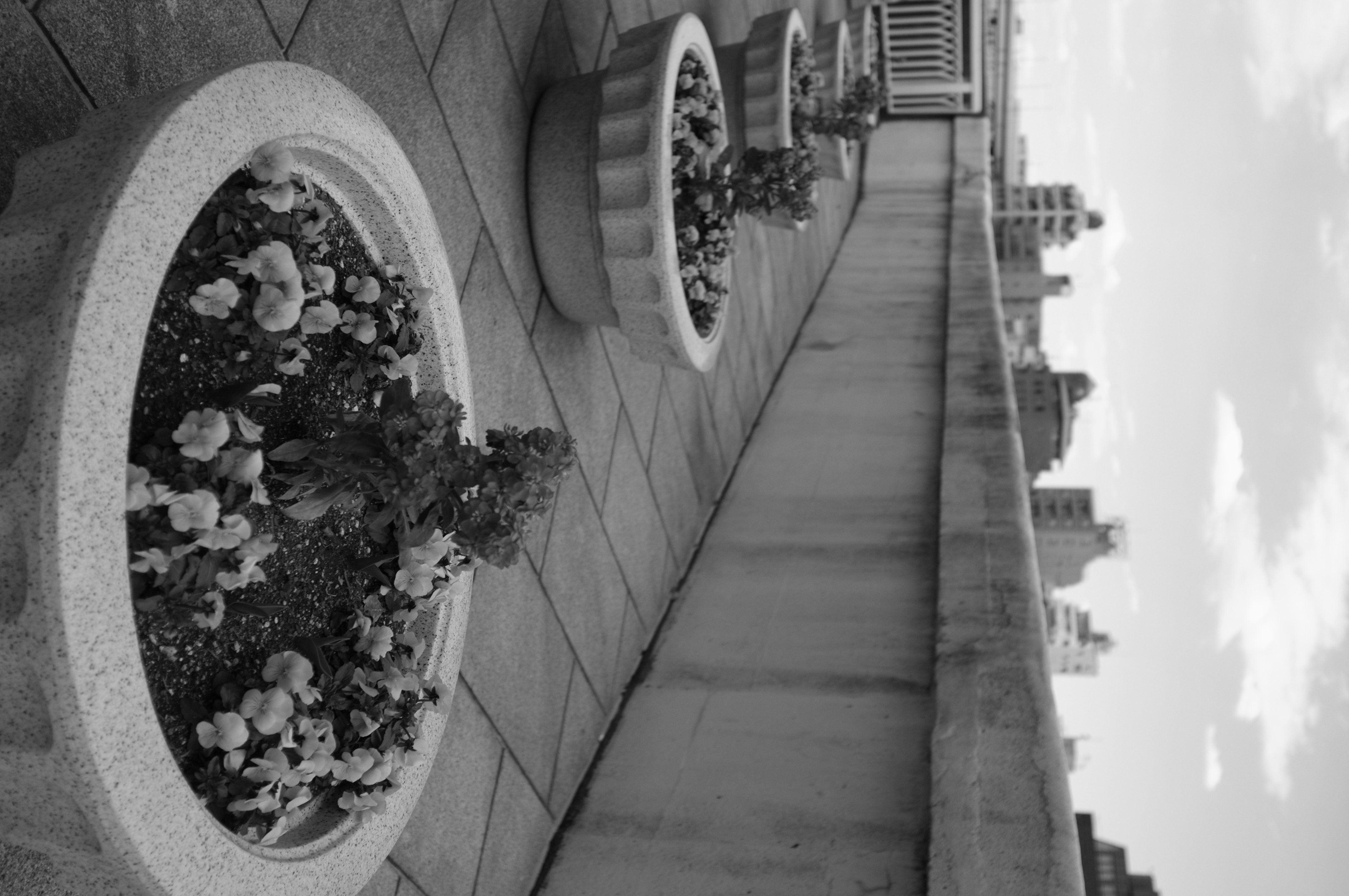 <b>モノクロ+Rフィルター</b>