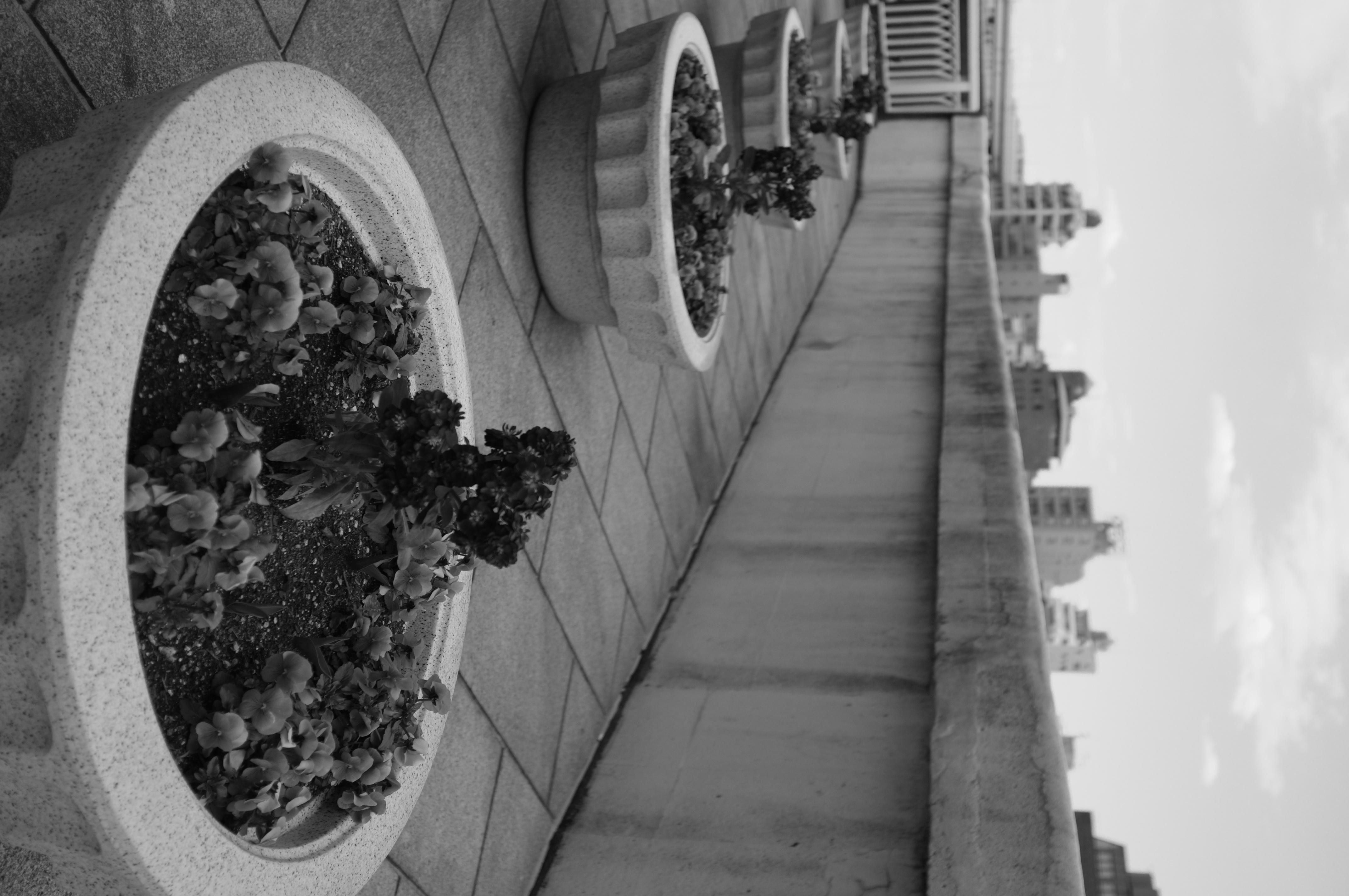 <b>モノクロ+Gフィルター</b>