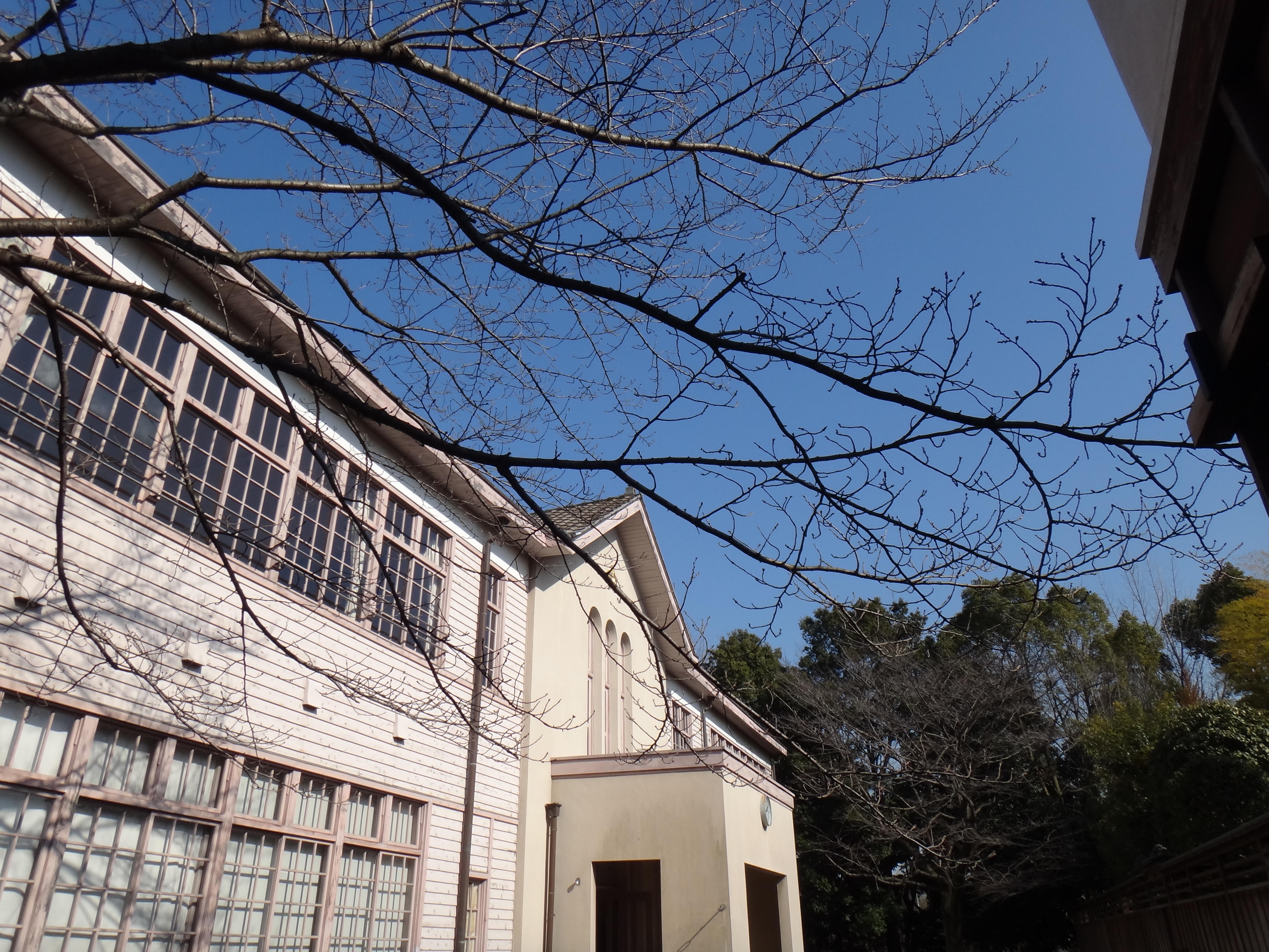 <b>プログラムオート / DSC-TX100V / 5.1MB / 4,608×3,456 / 1/1,000秒 / F4.5 / 0.0EV / ISO125 / WB:自動 / 4.4mm</b>