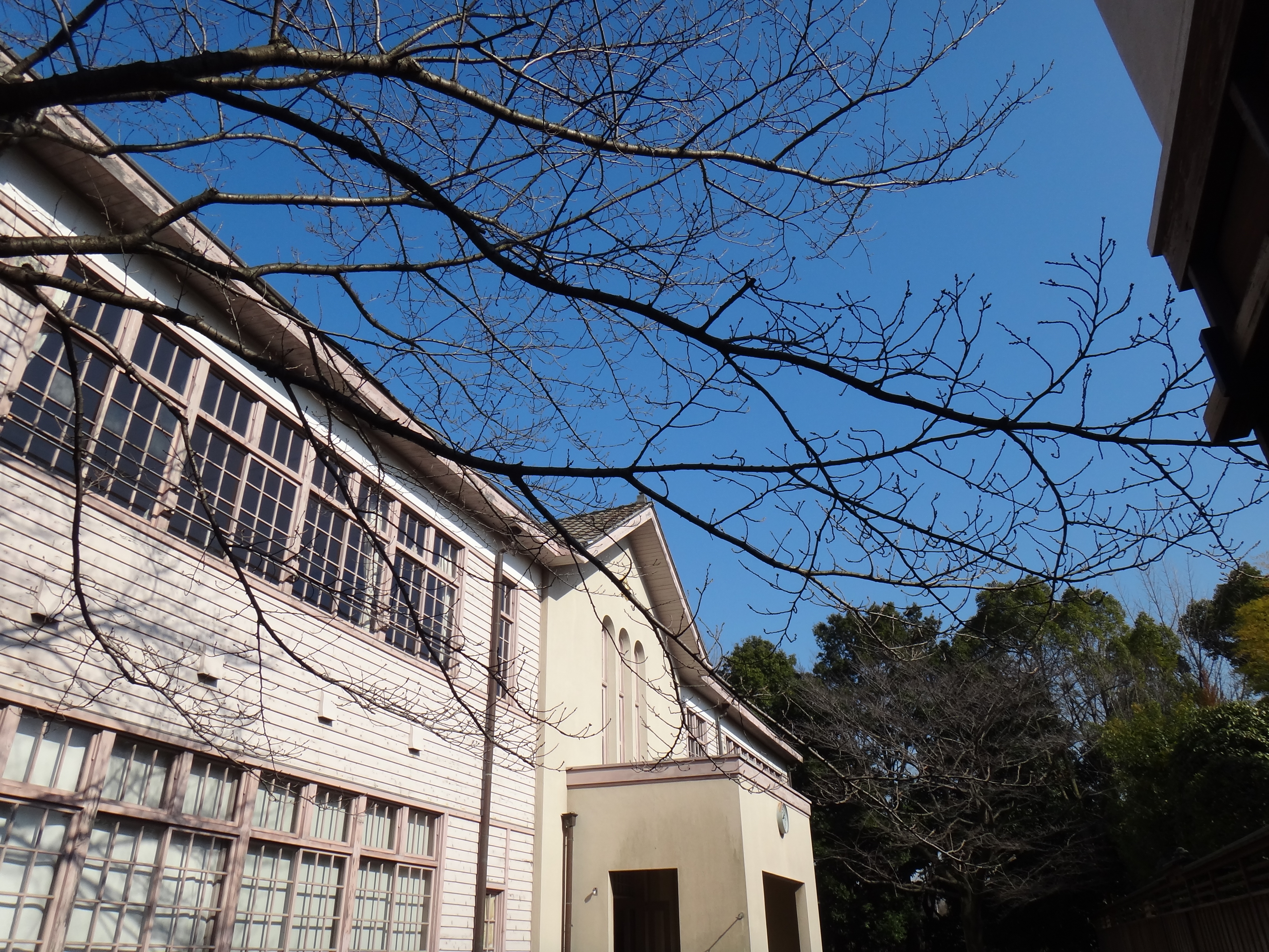 <b>風景 / DSC-TX100V / 5.3MB / 4,608×3,456 / 1/1,000秒 / F4.5 / 0.0EV / ISO125 / WB:自動 / 4.4mm</b>