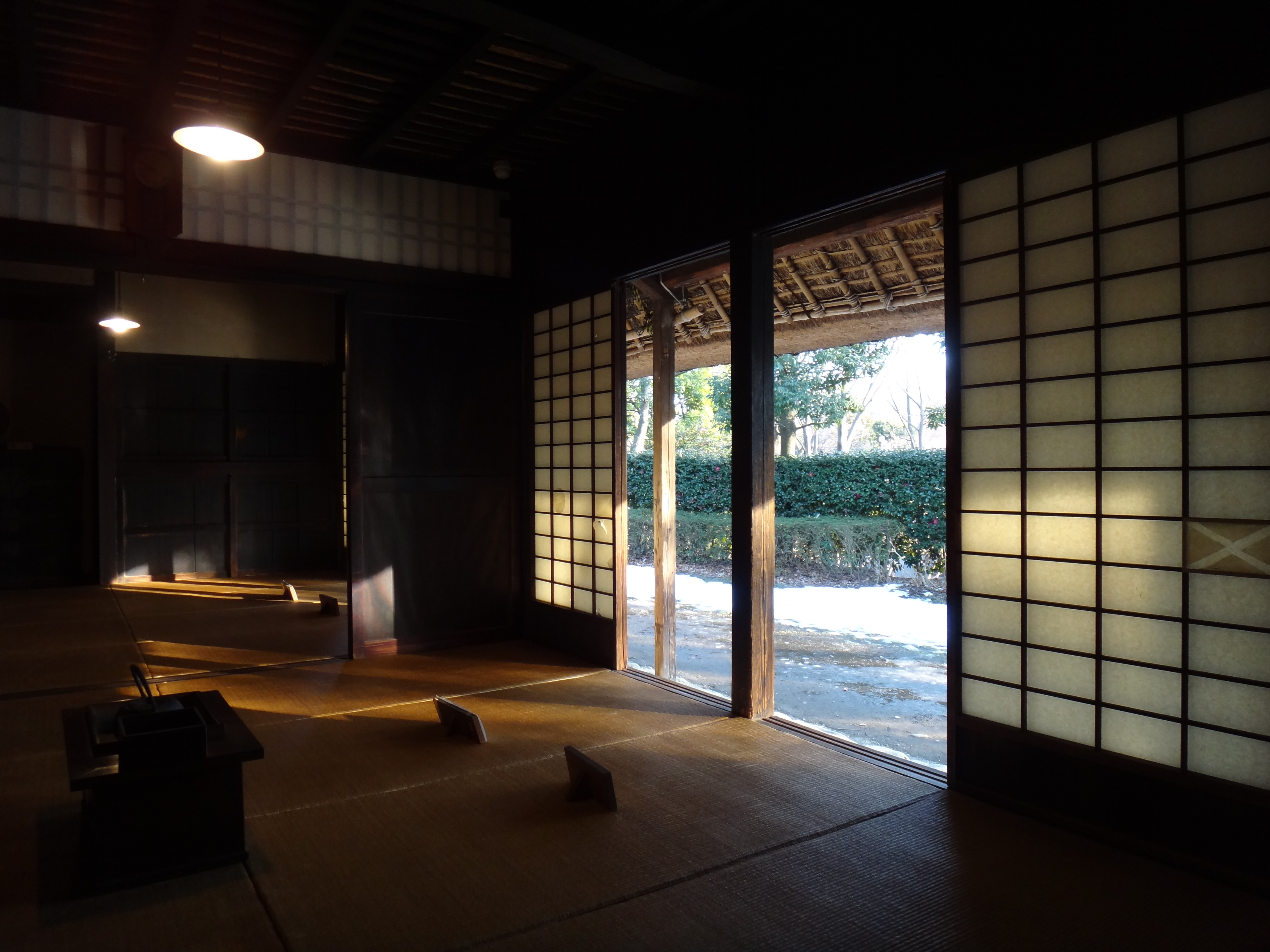 <b>プログラムオート / DSC-TX100V / 2.9MB / 4,608×3,456 / 1/30秒 / F3.5 / 0.0EV / ISO200 / WB:自動 / 4.4mm</b>