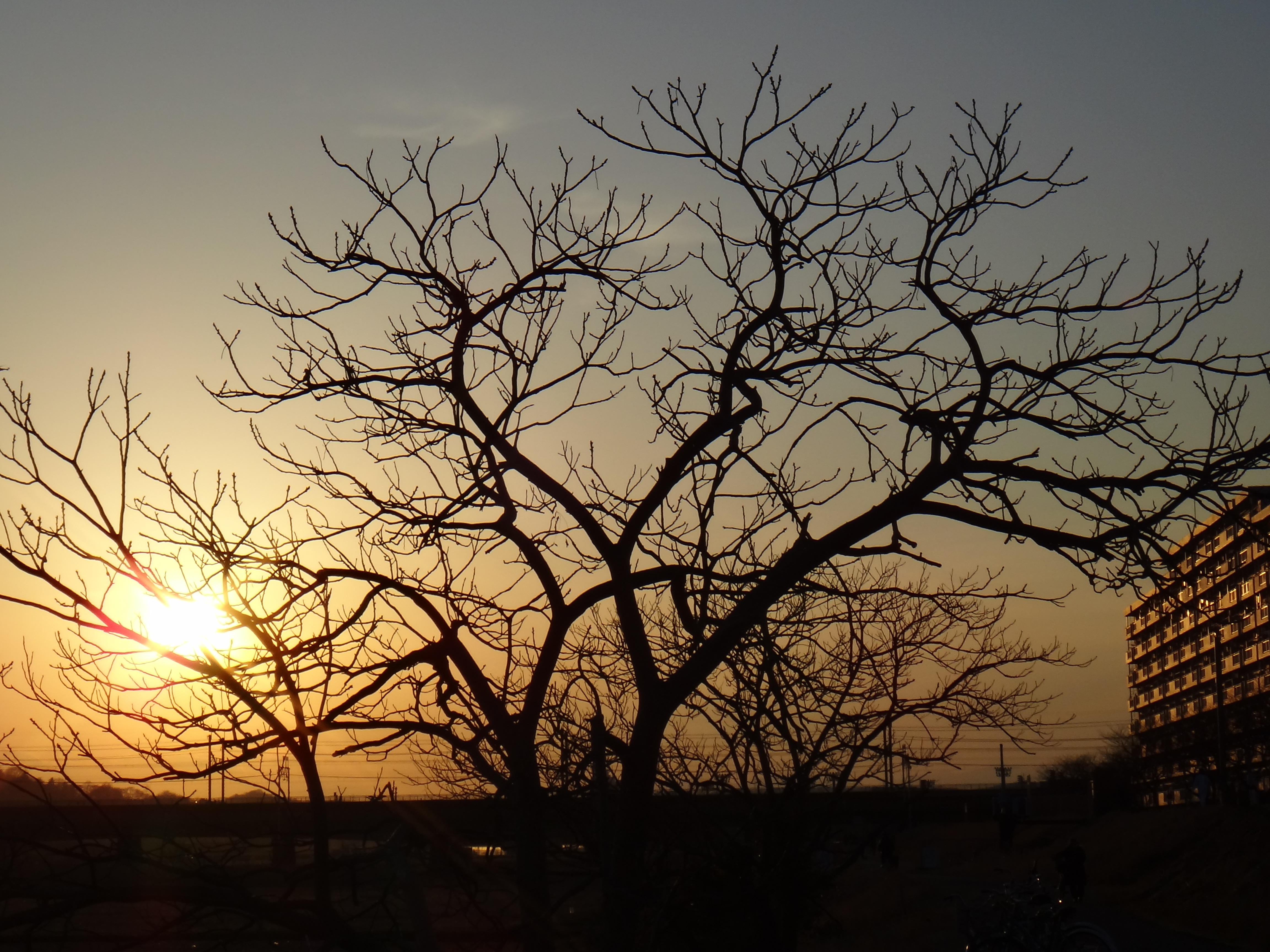 <b>風景 / DSC-TX100V / 4.0MB / 4,608×3,456 / 1/800秒 / F8 / -0.7EV / ISO125 / WB:自動 / 13.8mm</b>