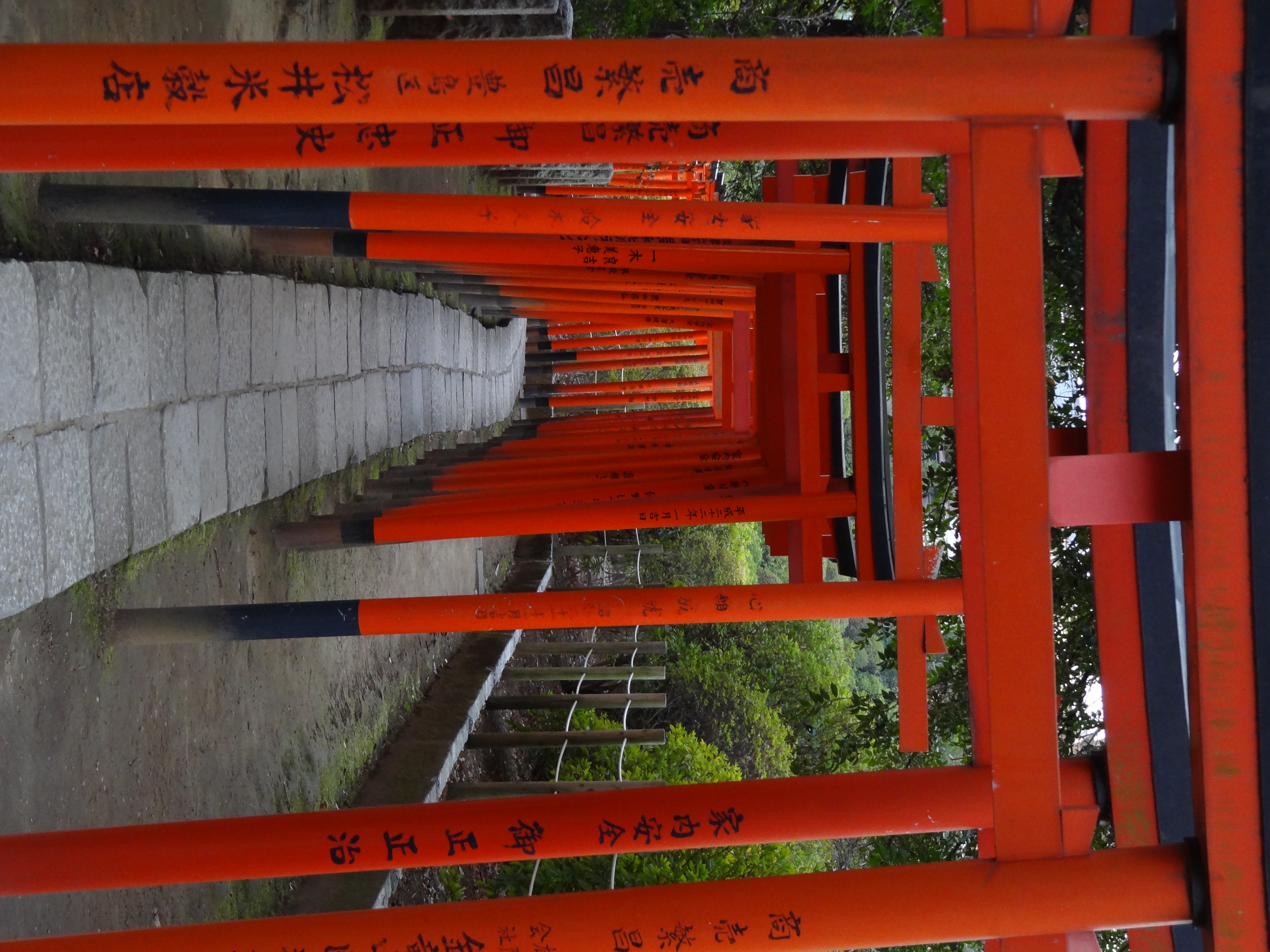 <b>スタンダード / DSC-HX9V / 約4.3MB / 3,456×4,608 / 1/80秒 / F4.5 / -0.7EV / ISO400 / WB:オート / 11.4mm</b>