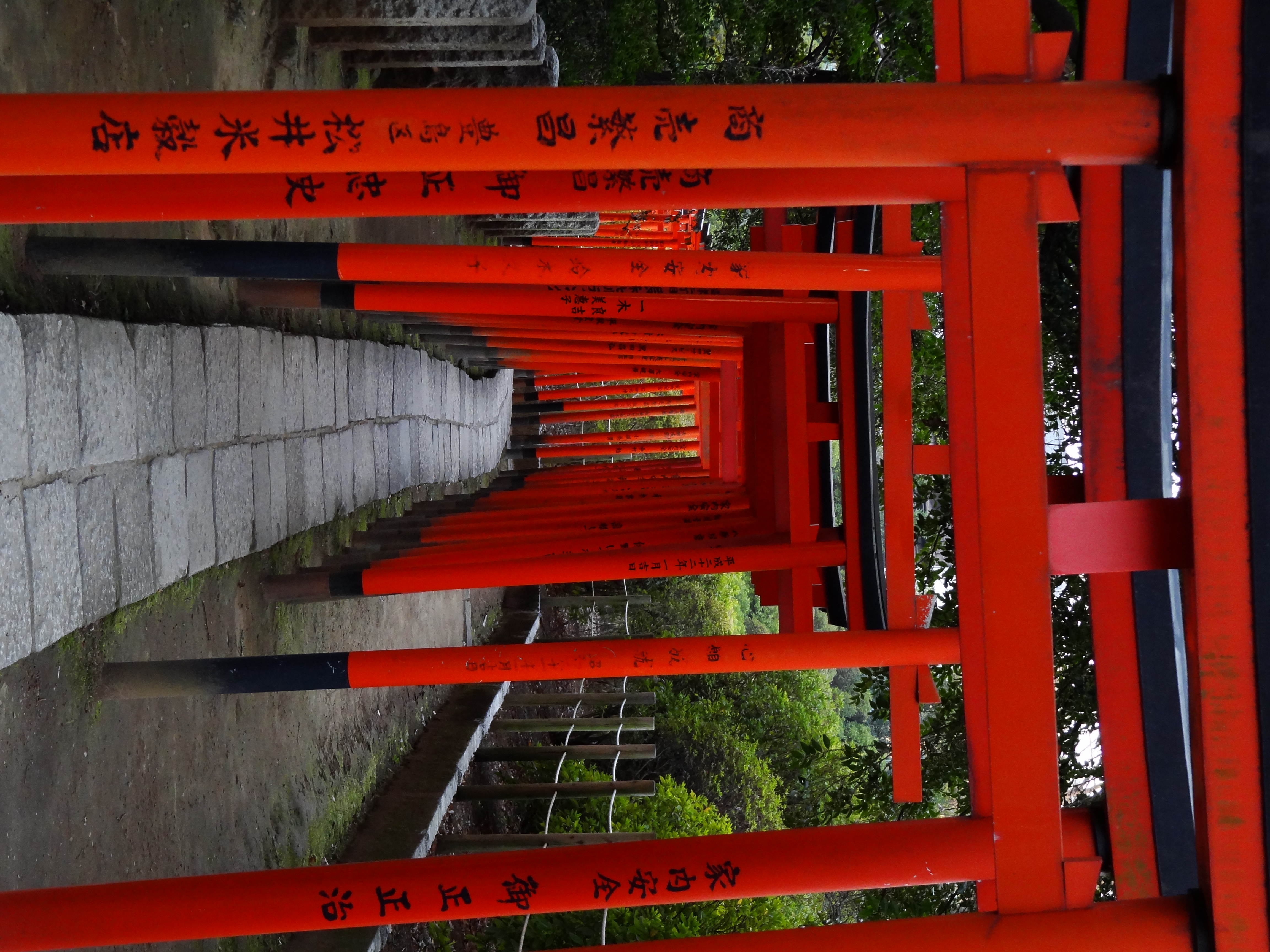 <b>ビビッド / DSC-HX9V / 約4.4MB / 3,456×4,608 / 1/80秒 / F4.5 / -0.7EV / ISO320 / WB:オート / 11.4mm</b>