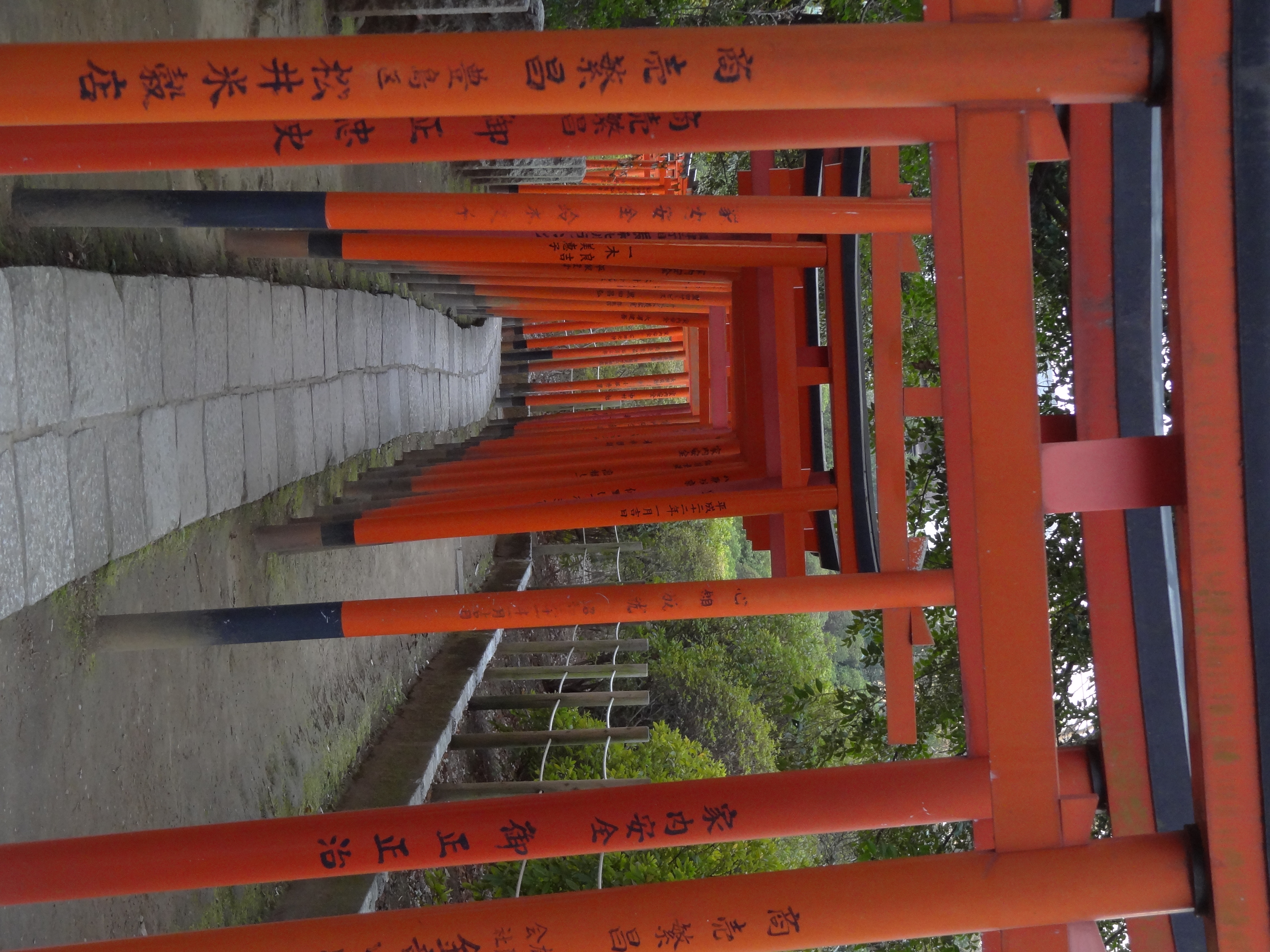 <b>リアル / DSC-HX9V / 約4.3MB / 3,456×4,608 / 1/80秒 / F4.5 / -0.7EV / ISO320 / WB:オート / 11.4mm</b>