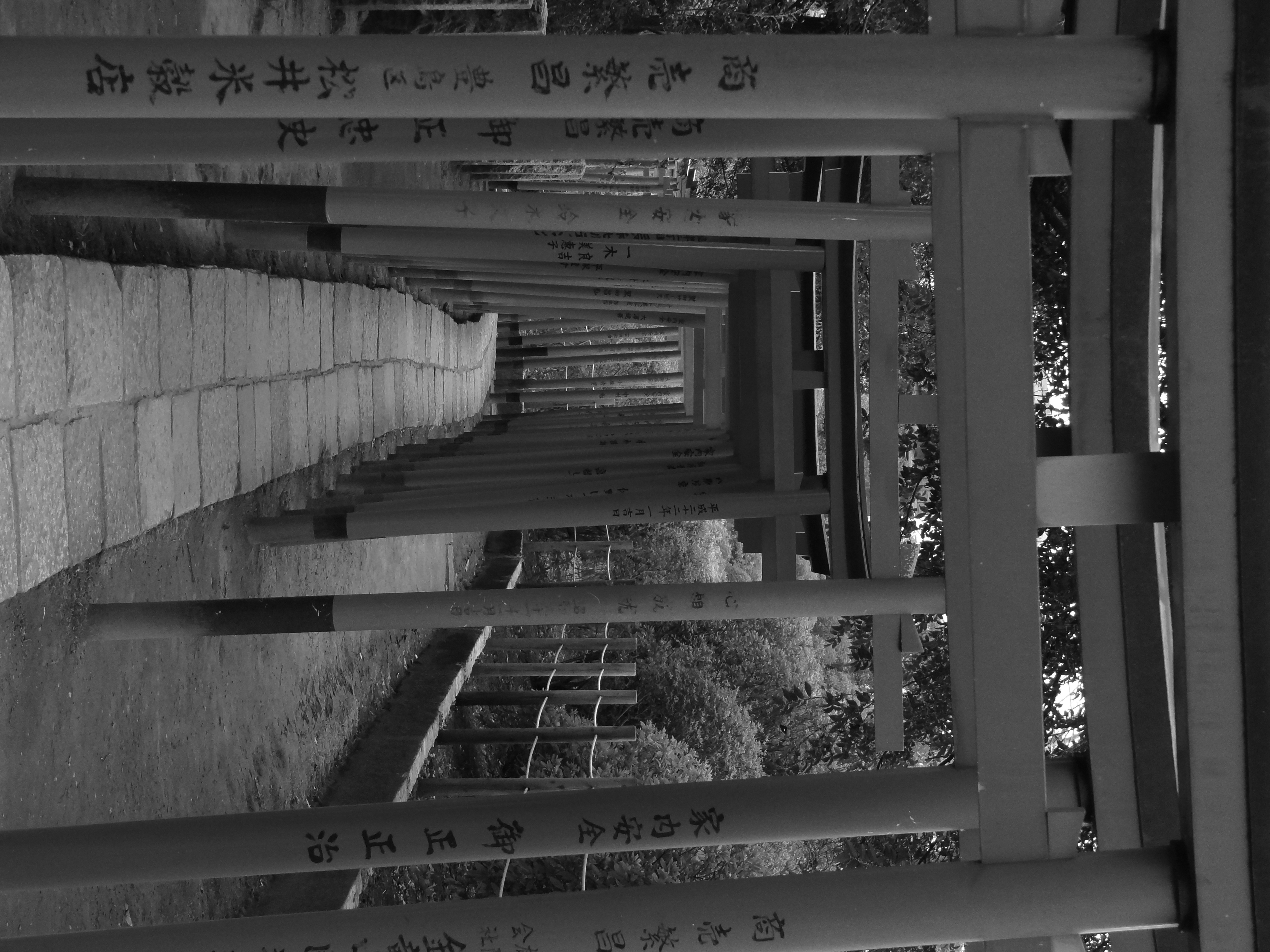 <b>モノクロ / DSC-HX9V / 約3.7MB / 3,456×4,608 / 1/80秒 / F4.5 / -0.7EV / ISO320 / WB:オート / 11.4mm</b>