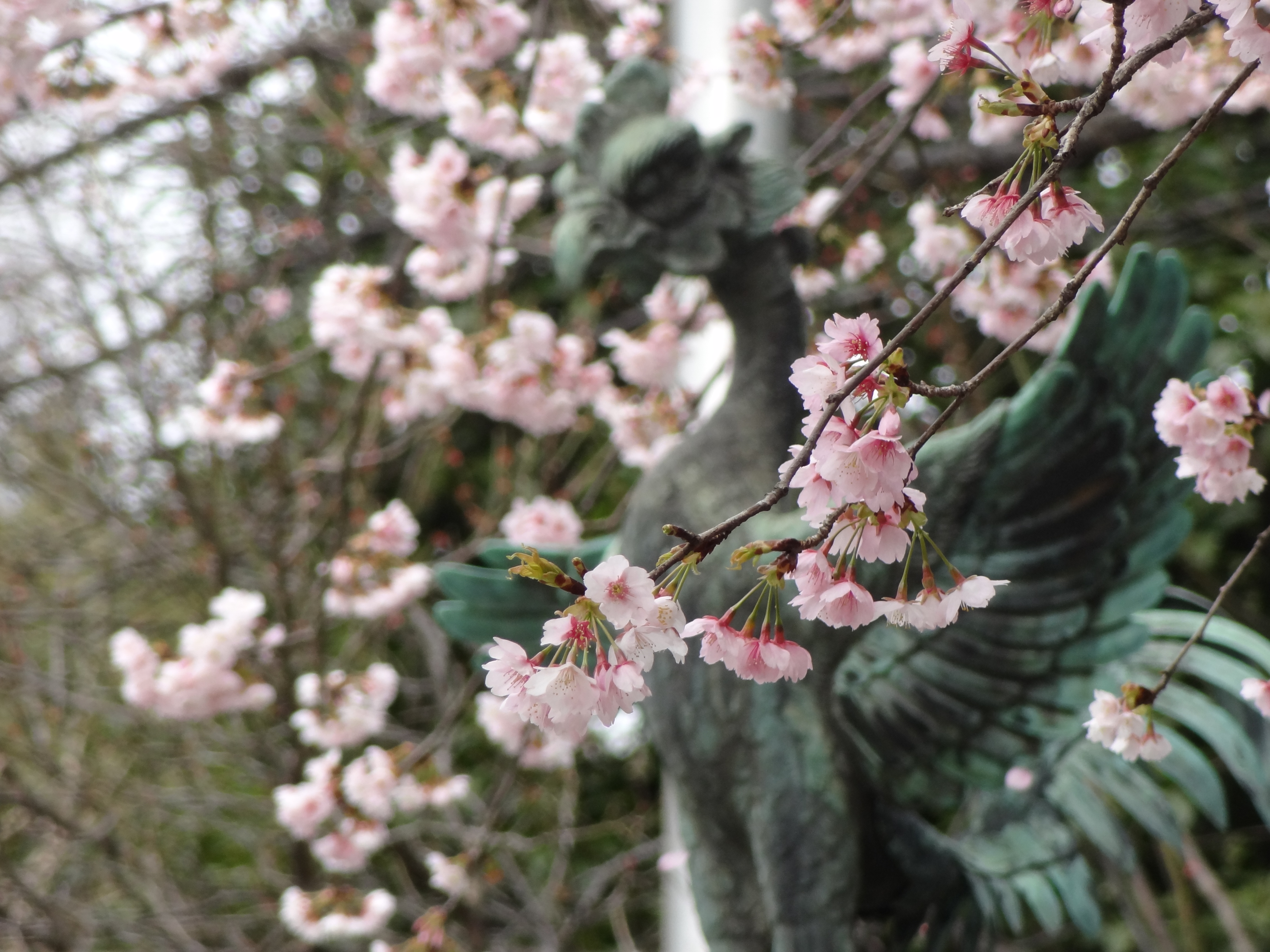 <b>背景ぼかし:オフ / DSC-HX9V / 約3.3MB / 4,608×3,456 / 1/250秒 / F5.9 / 0.0EV / ISO200 / WB:オート / 68.5mm</b>