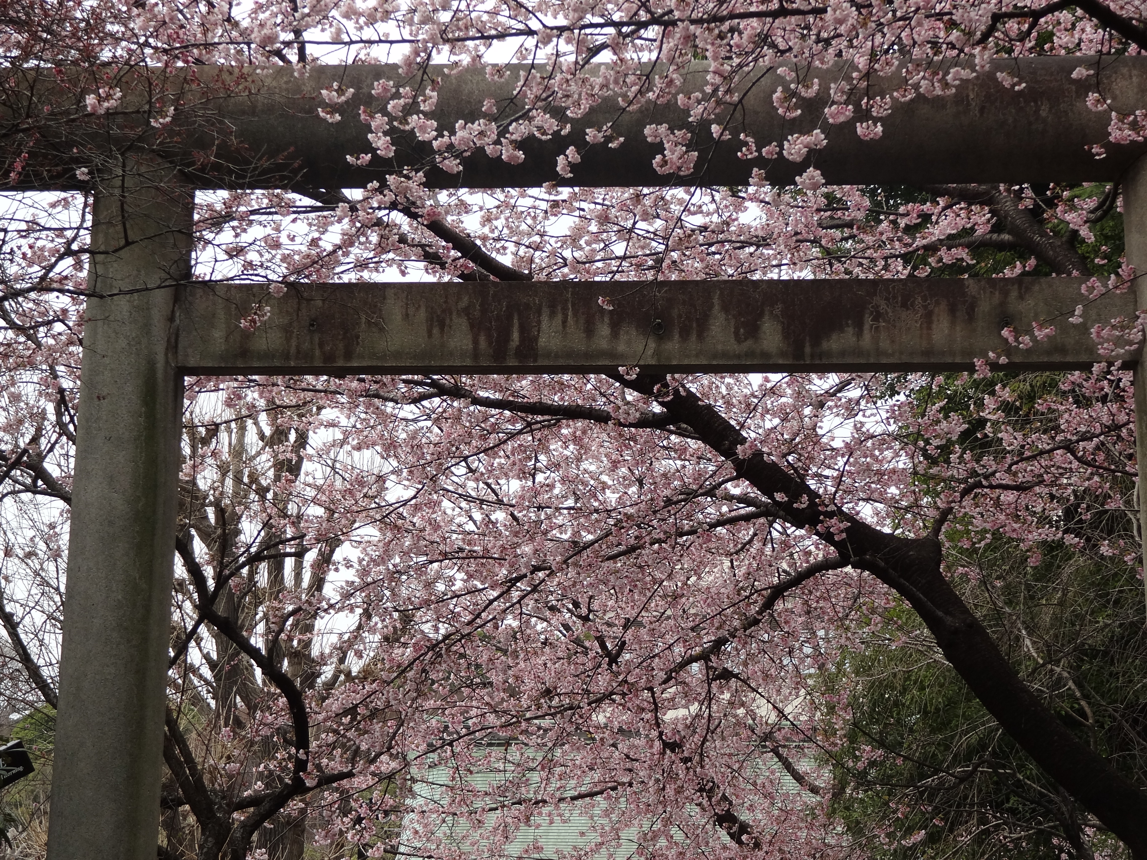 <b>DSC-HX9V / 約5.3MB / 4,608×3,456 / 1/320秒 / F4.5 / 0.0EV / ISO100 / WB:オート / 15.8mm</b>